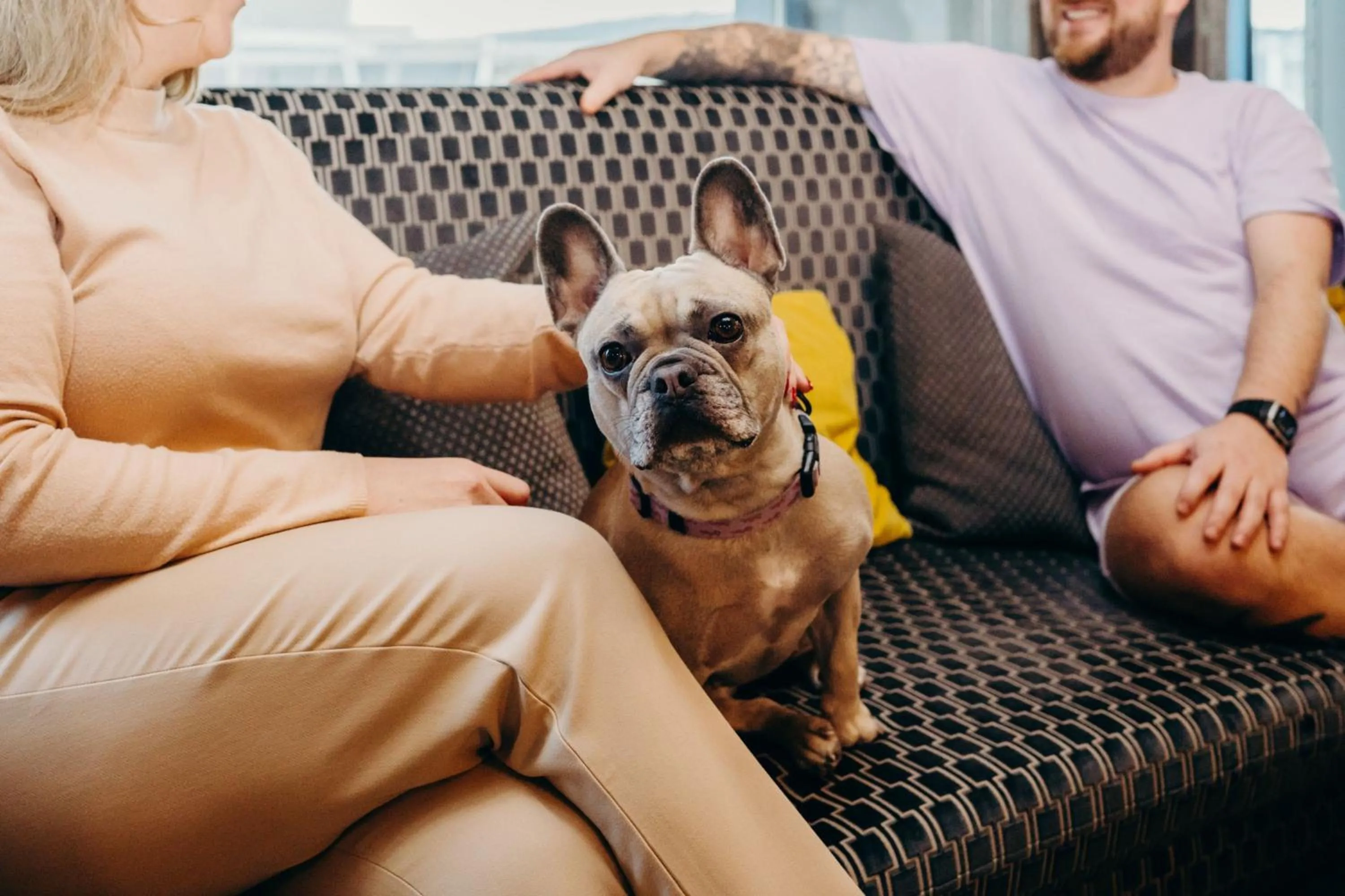 Other in Aloft Aberdeen TECA