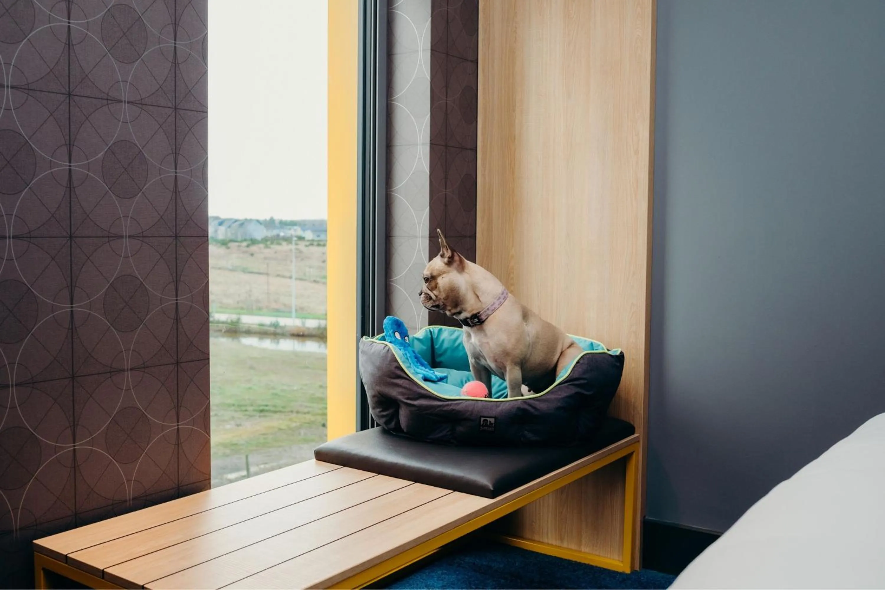 Other in Aloft Aberdeen TECA