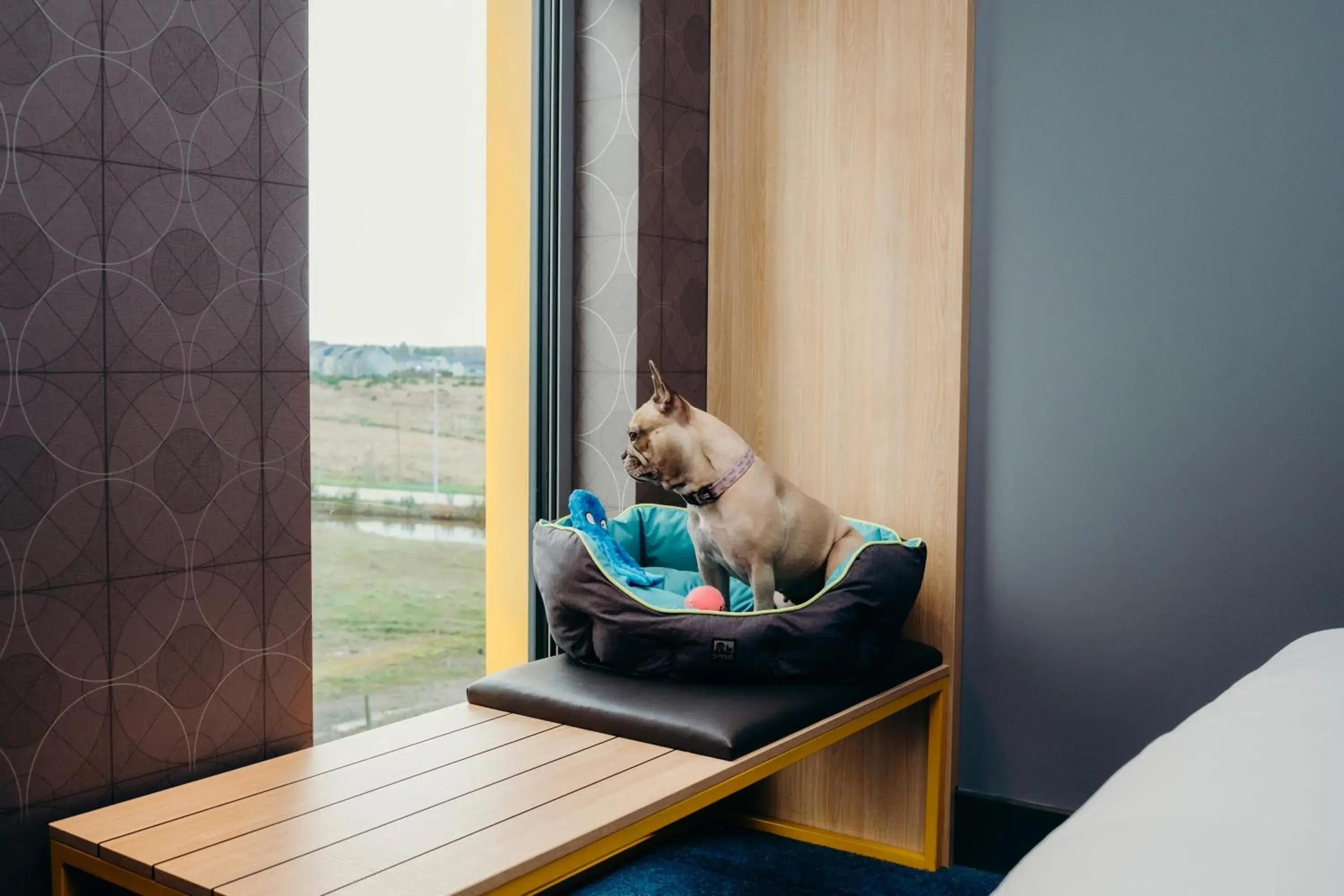 King Room in Aloft Aberdeen TECA King Room in Aloft Aberdeen TECA