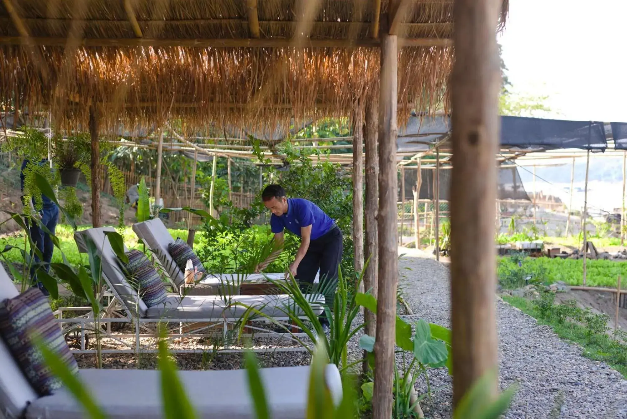 sunbed in The Belle Rive Boutique Hotel sunbed in The Belle Rive Boutique Hotel