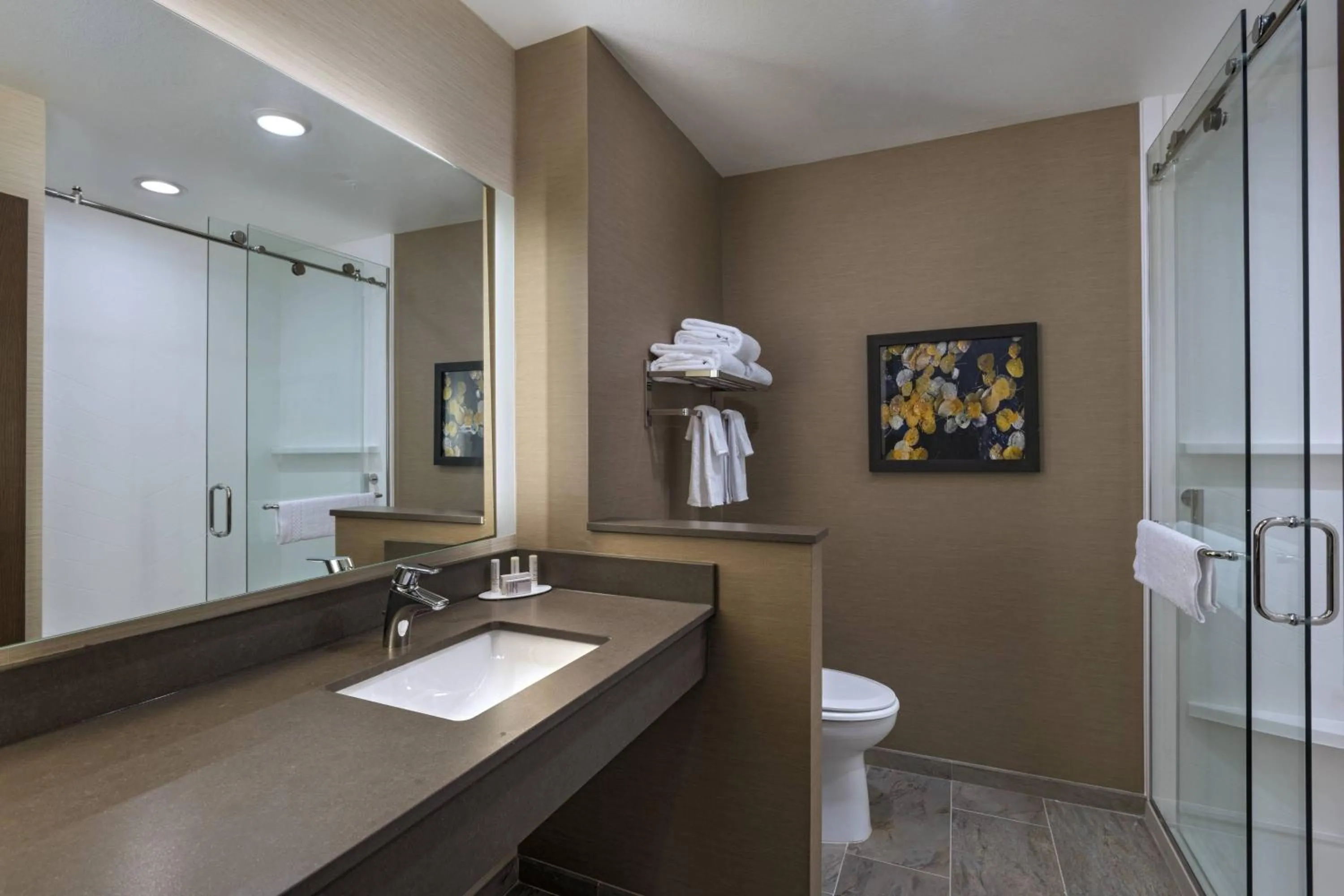 Bathroom in Fairfield Inn & Suites by Marriott Colorado Springs East