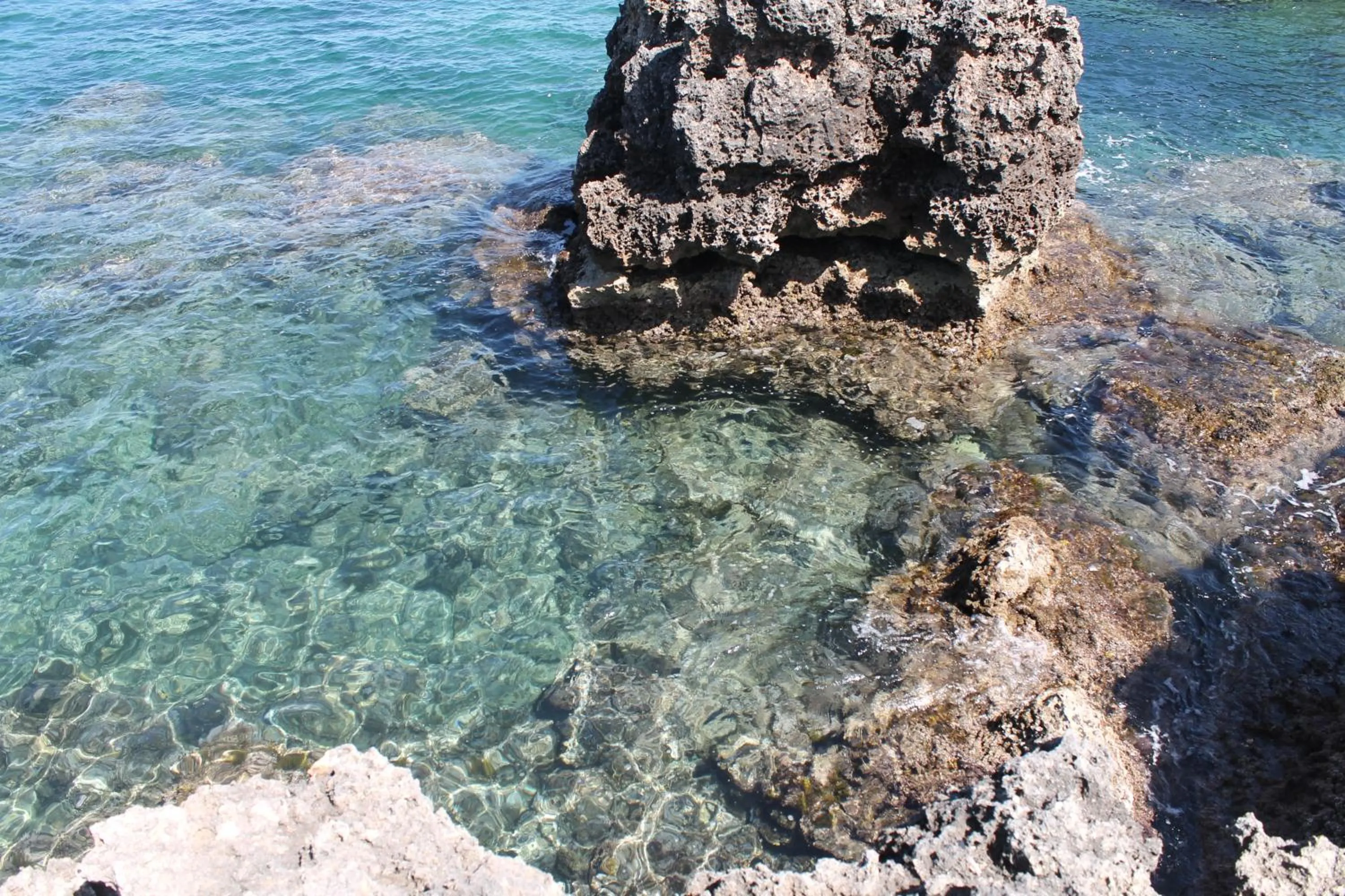 Neighbourhood in Hotel Victoria