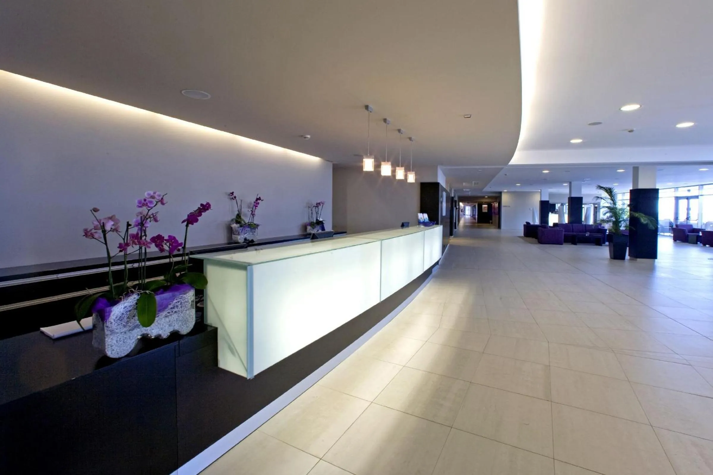 Lobby or reception in Hotel Molindrio Plava Laguna