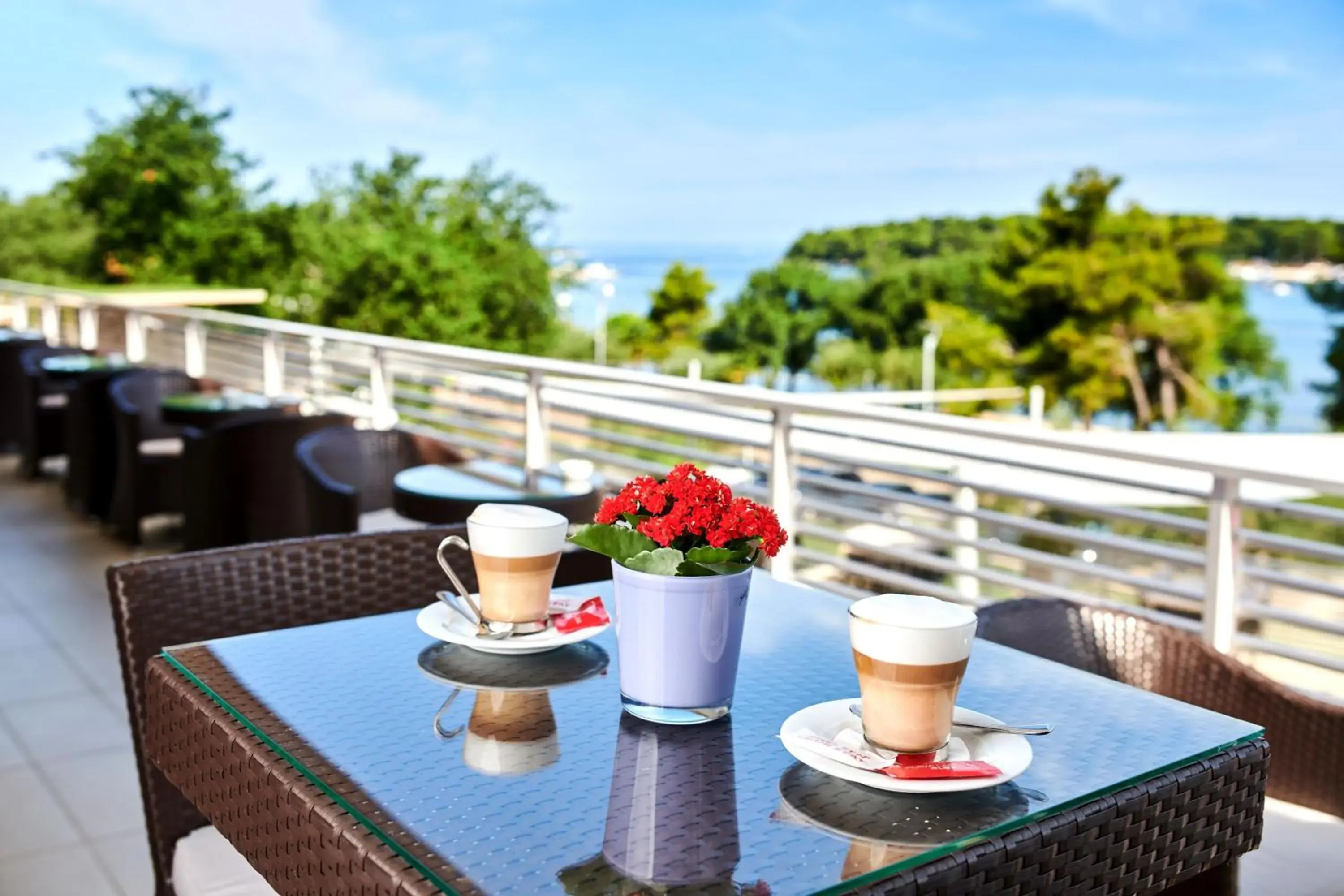 Lounge or bar in Hotel Molindrio Plava Laguna Lounge or bar in Hotel Molindrio Plava Laguna