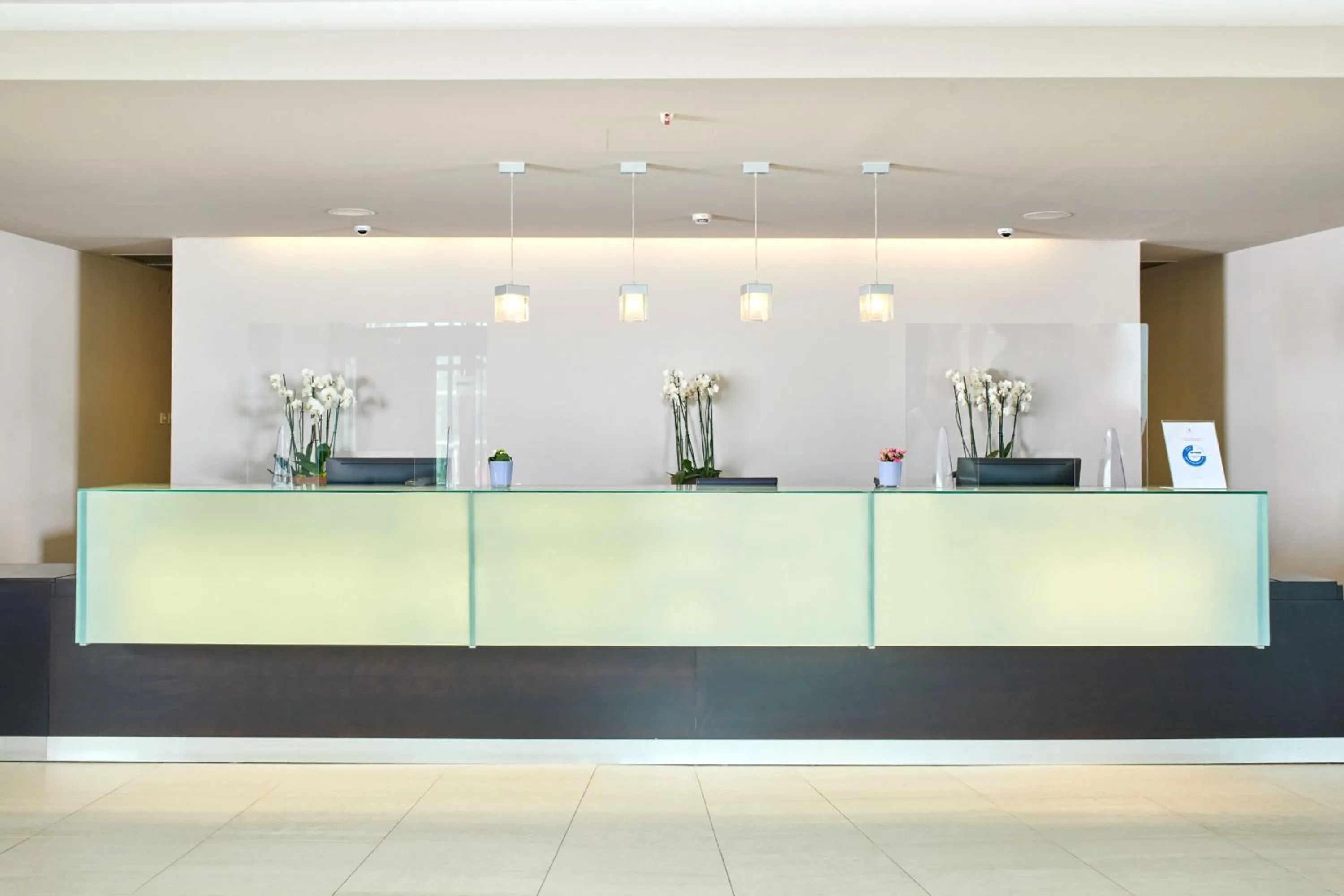 Lobby or reception in Hotel Molindrio Plava Laguna