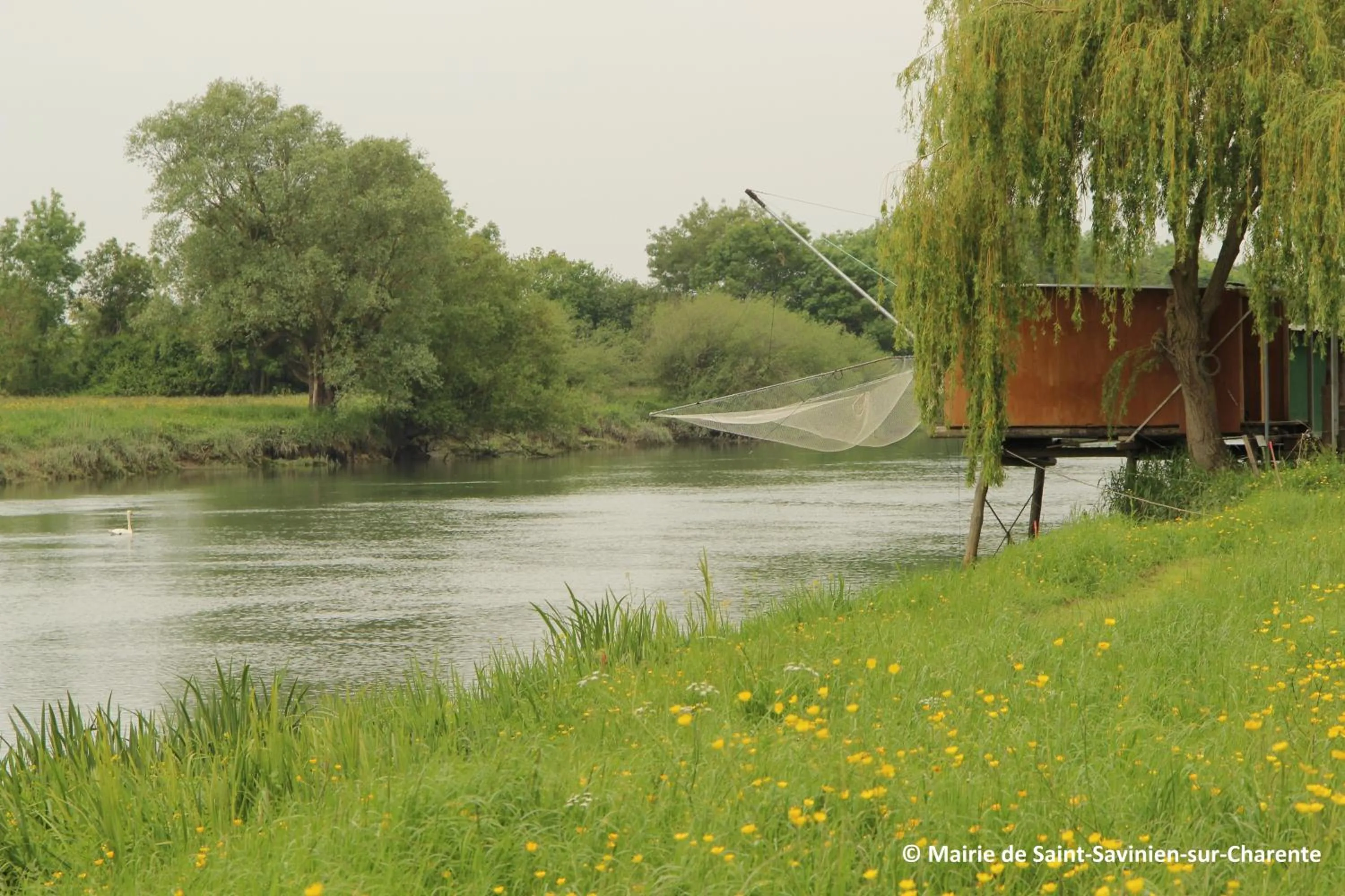 Nearby landmark in Logis Hôtel & Restaurant Le Saint Savinien