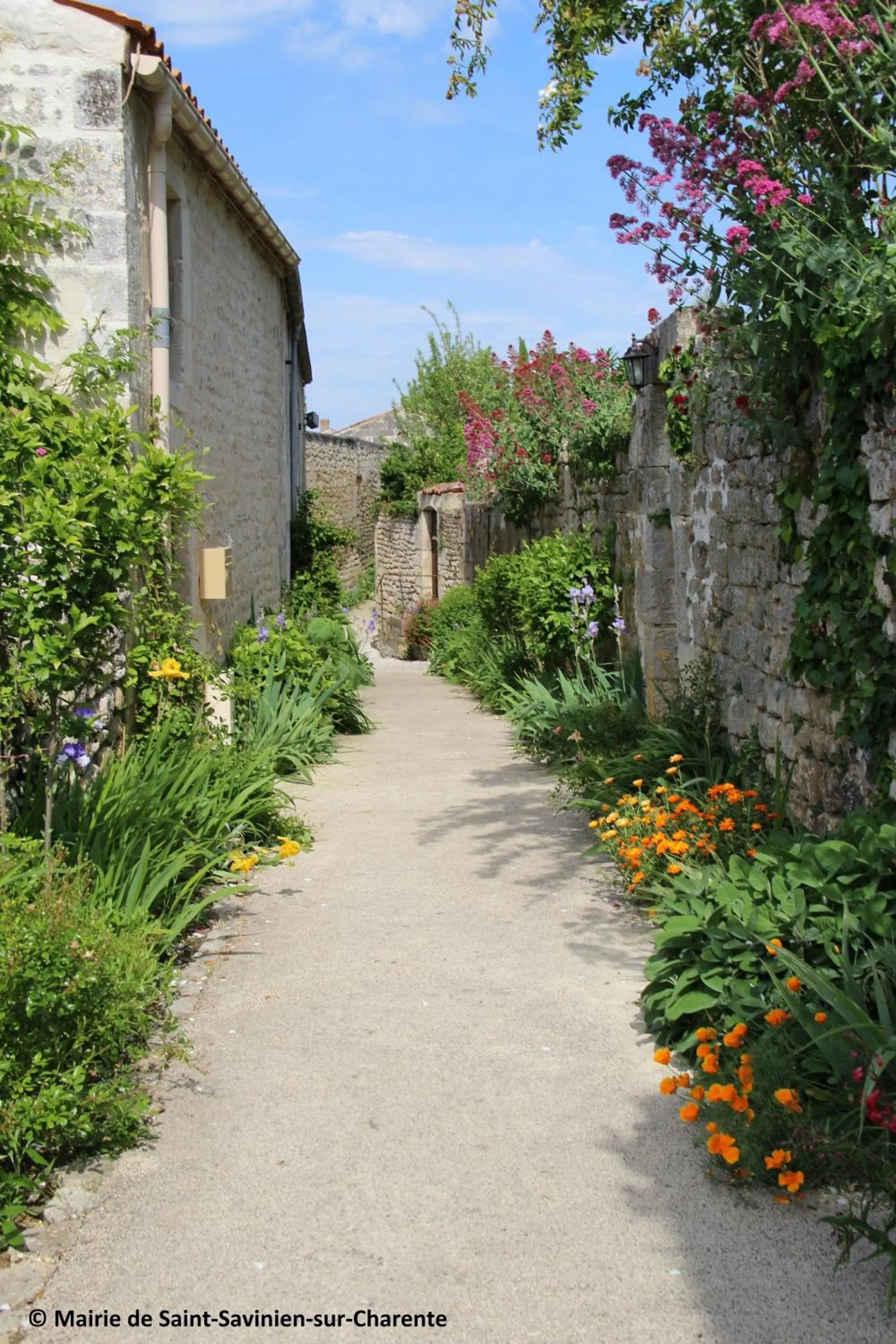 Off site in Logis Hôtel & Restaurant Le Saint Savinien