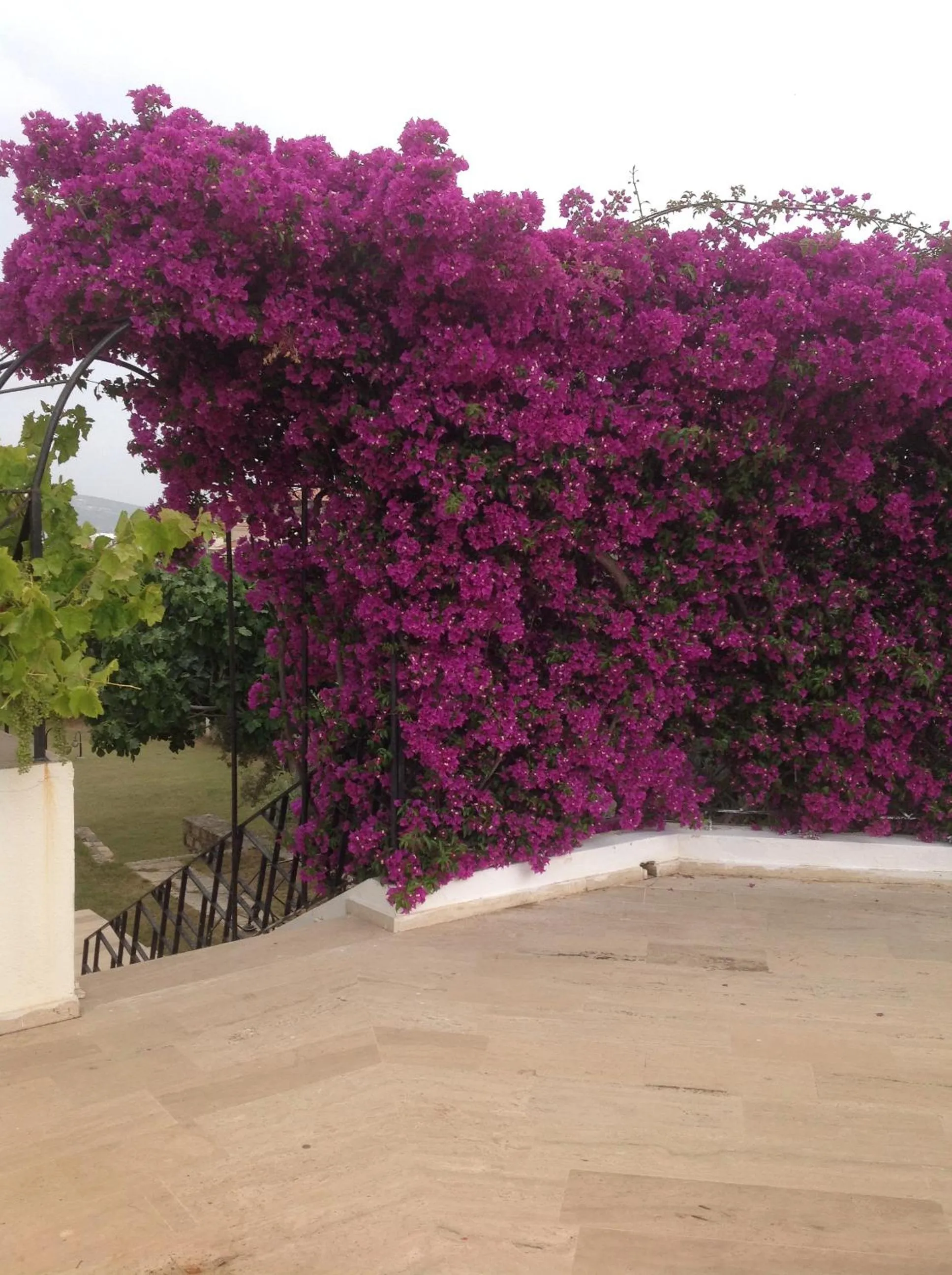 Garden in Arinnanda Hotel Cesme