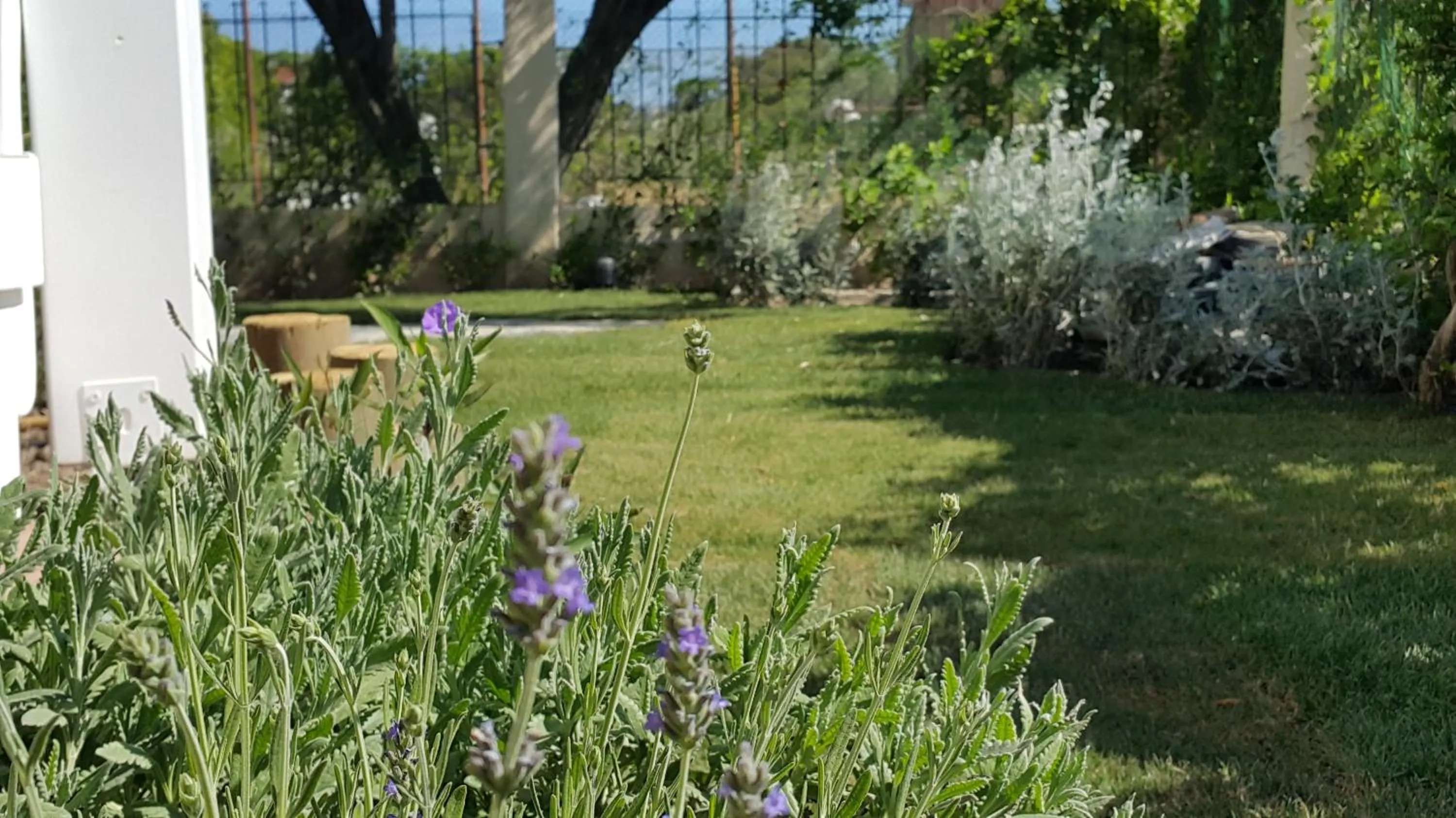 Garden view in Arinnanda Hotel Cesme