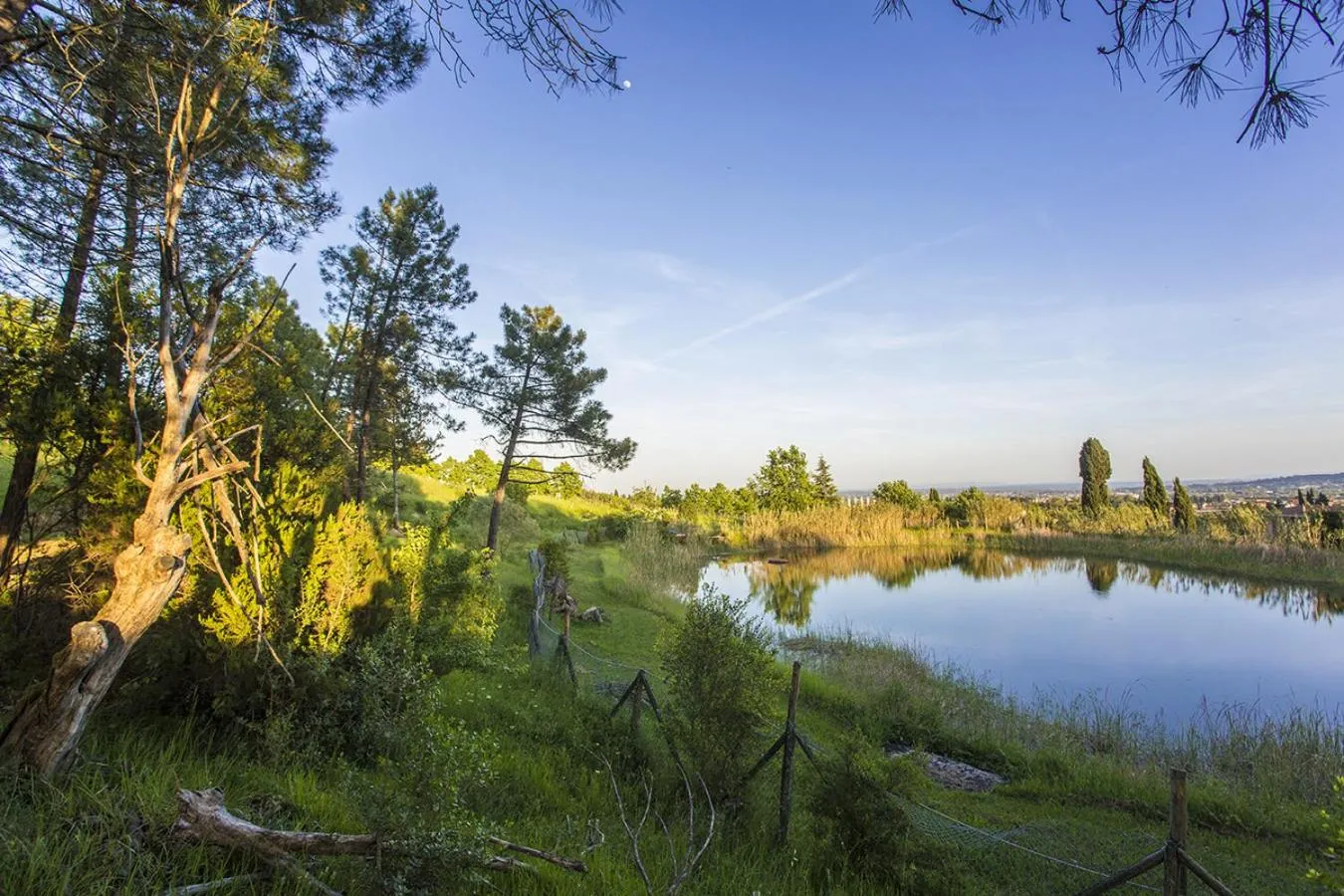 Natural landscape in casina MeMe