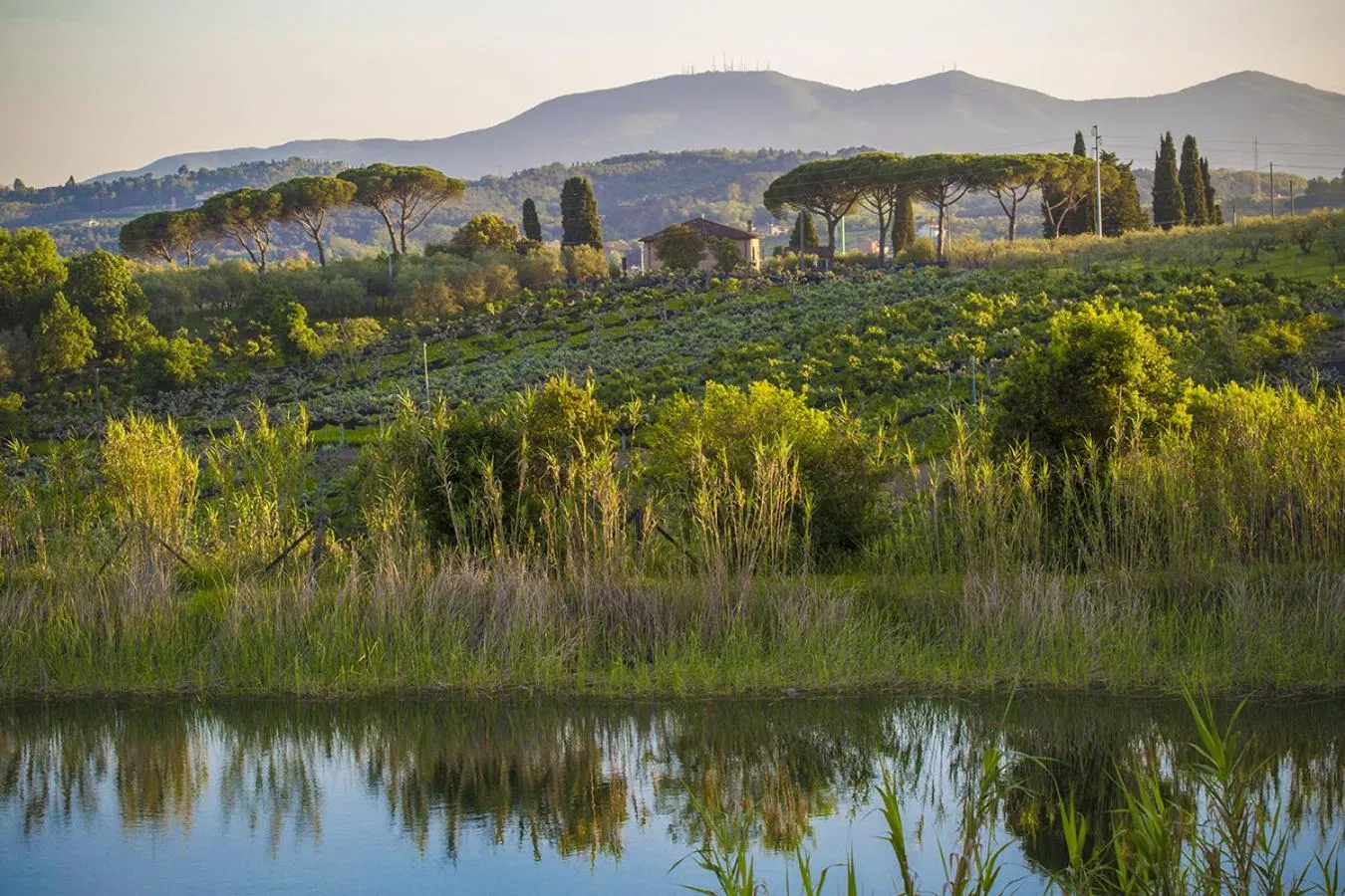 Natural landscape in casina MeMe