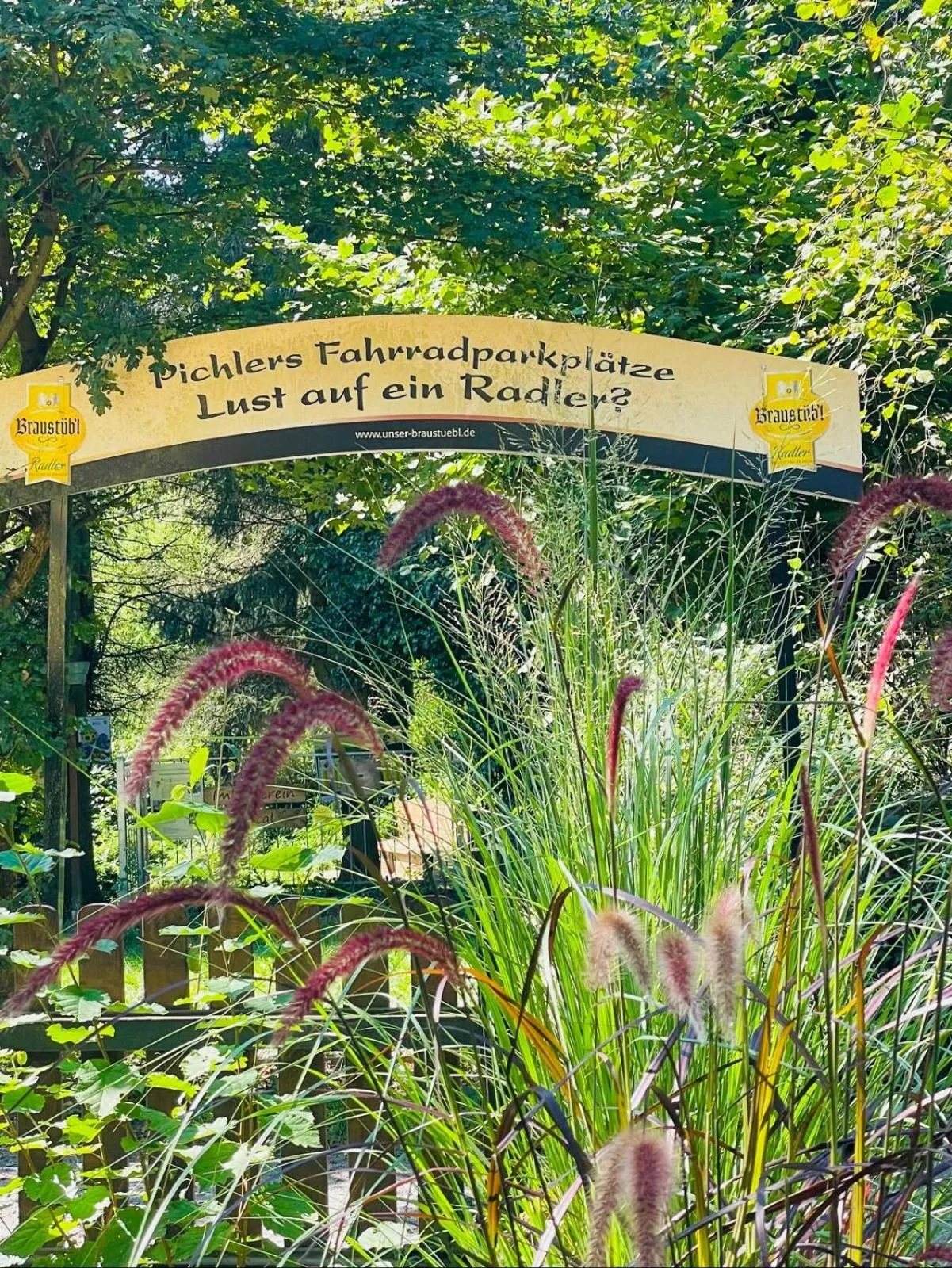 Balcony/Terrace in Hotel Waldesruh