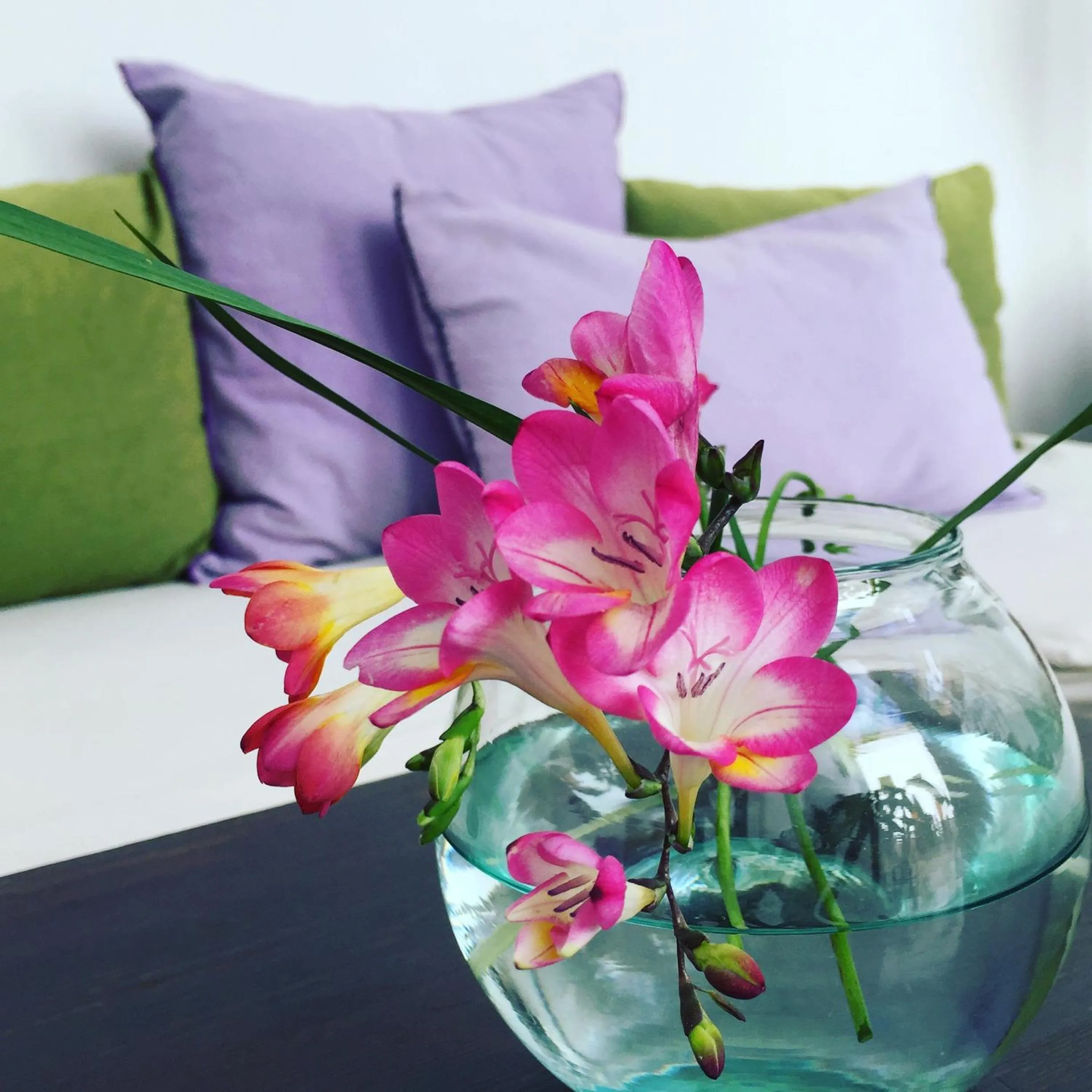 Decorative detail in Riad UP