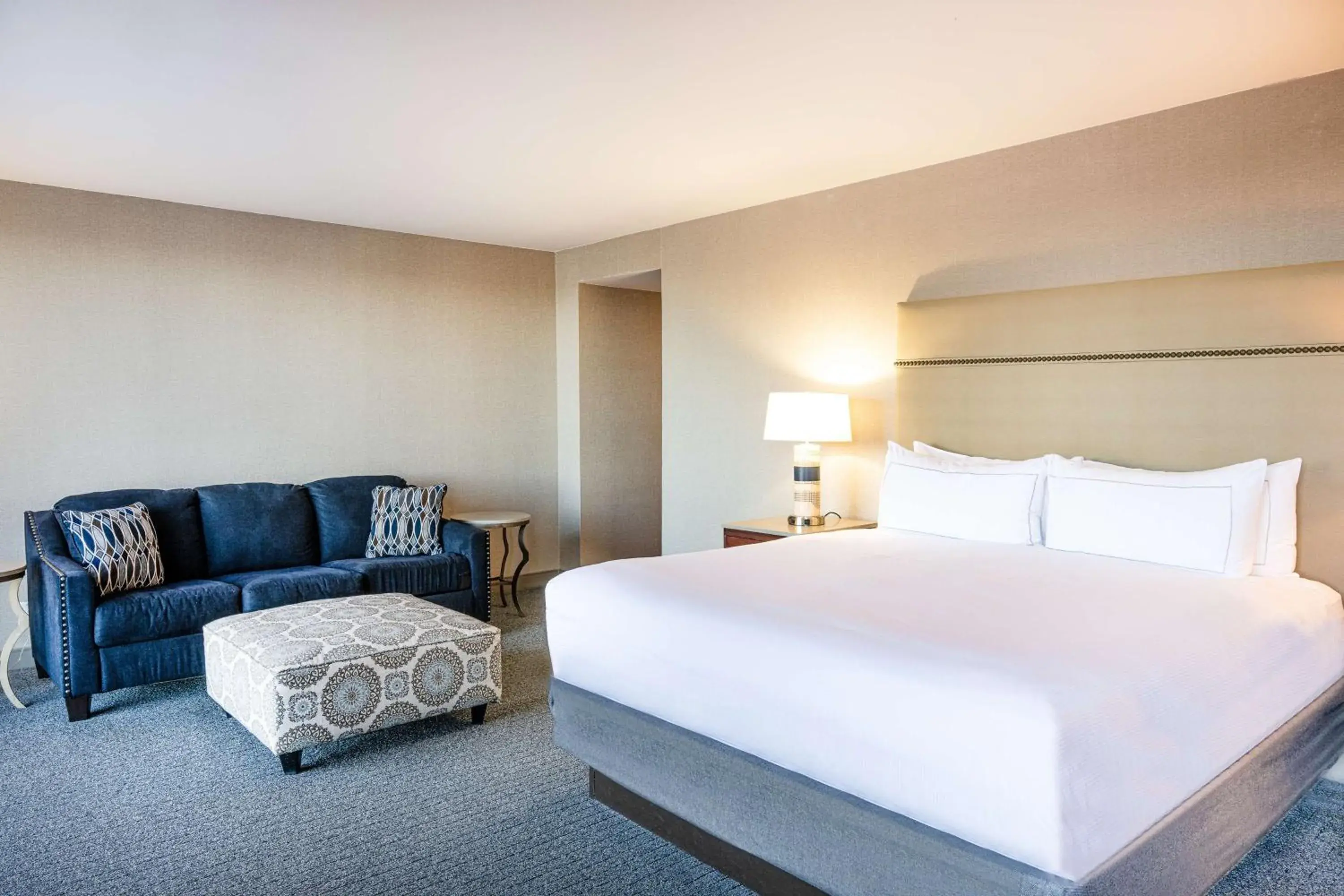 Living room, Bed in Hilton Richardson Dallas, TX Living room, Bed in Hilton Richardson Dallas, TX