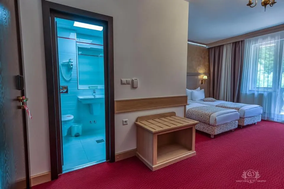 Bed in Hotel Lacu Rosu