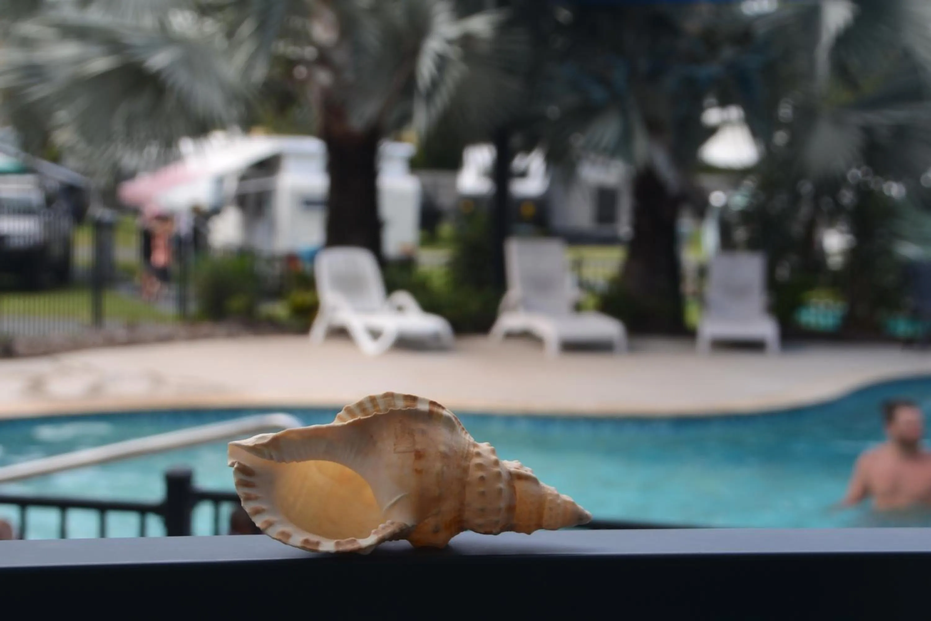 Pool view in BIG4 Mackay Blacks Beach Holiday Park