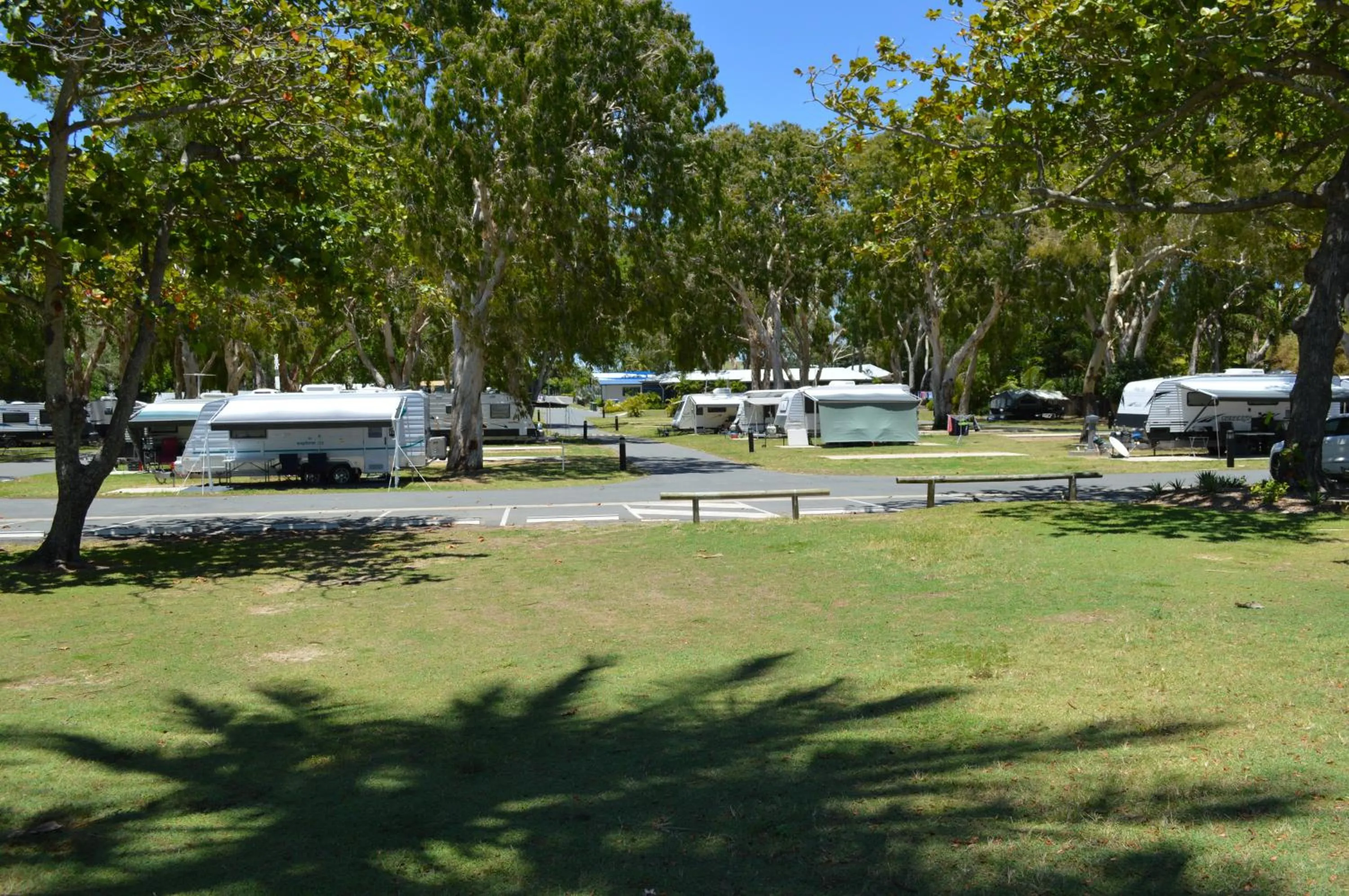 Garden in BIG4 Mackay Blacks Beach Holiday Park