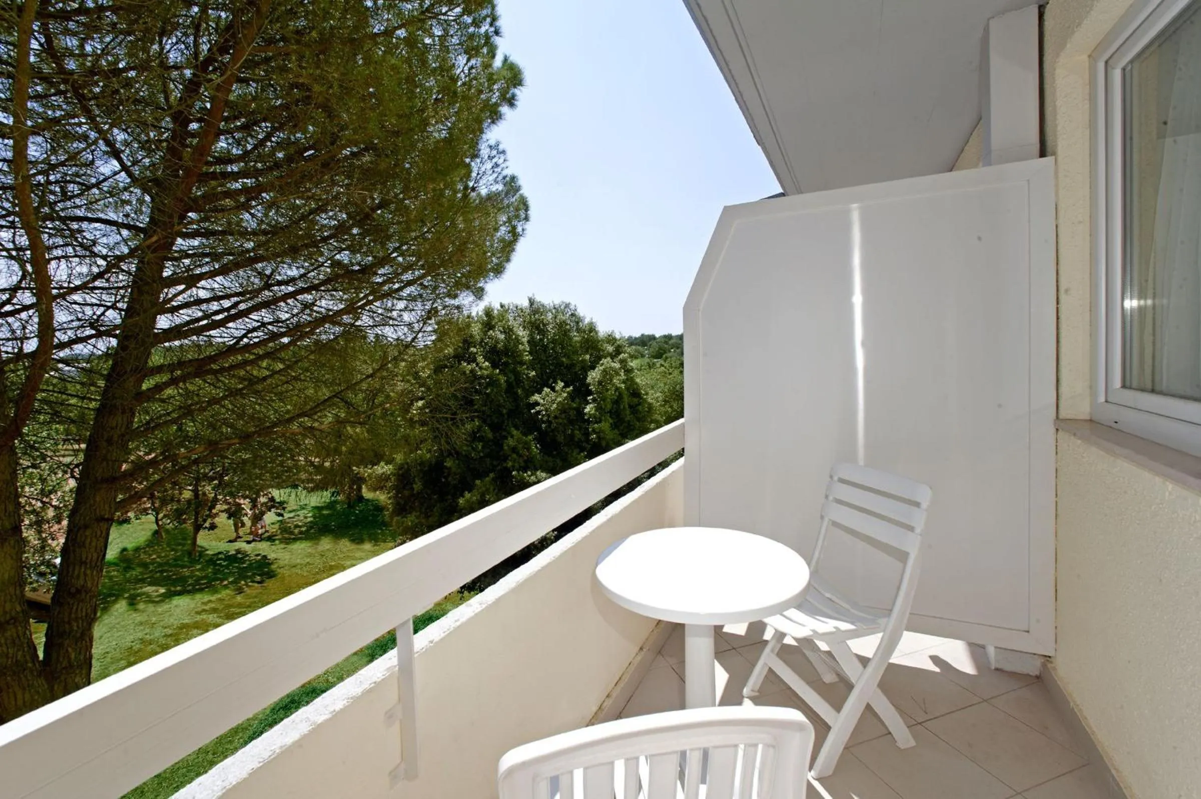 Balcony/Terrace in Hotel Delfin Plava Laguna