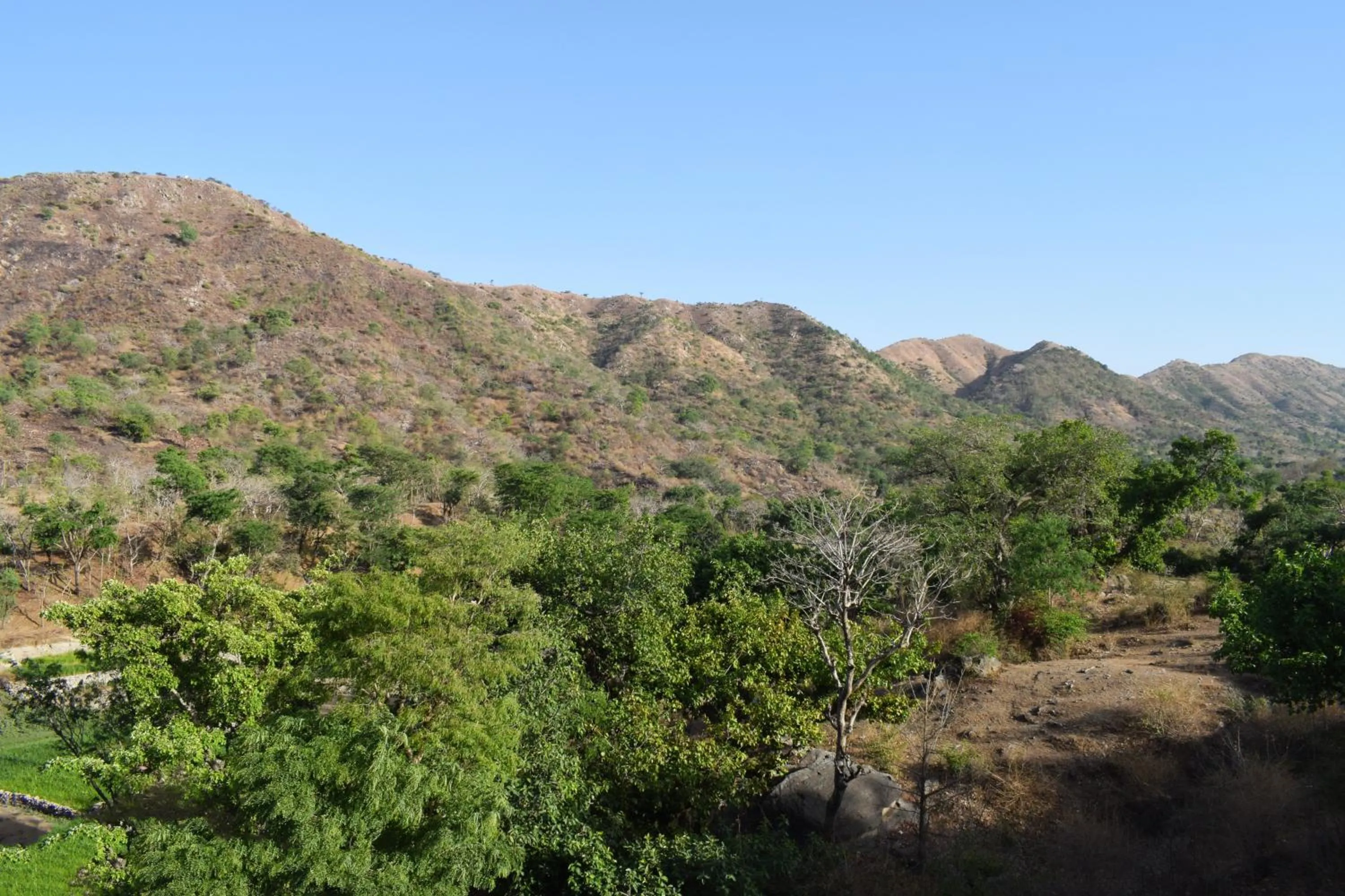 Natural landscape in Kumbhalgarh Forest Retreat