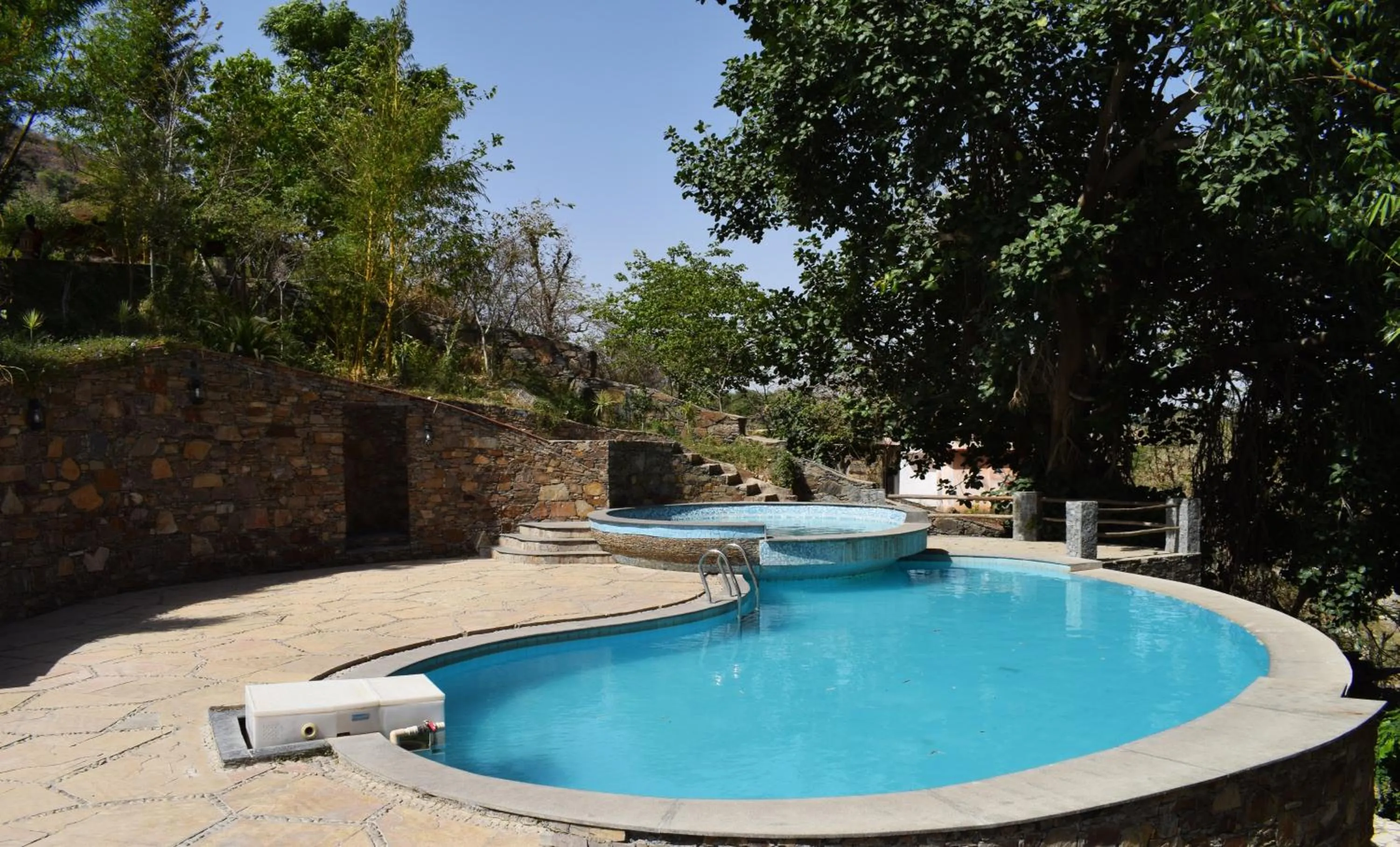 Pool view in Kumbhalgarh Forest Retreat