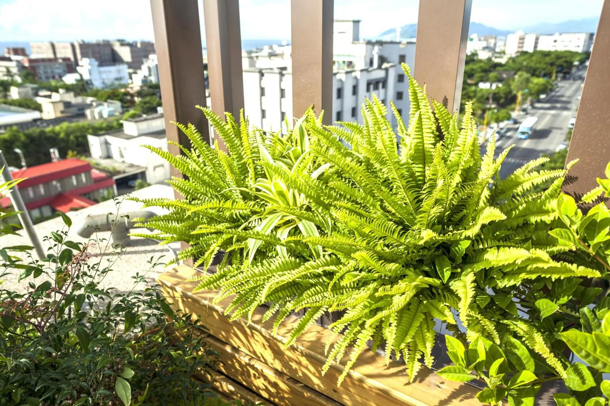Garden in Lishiuan Hotel