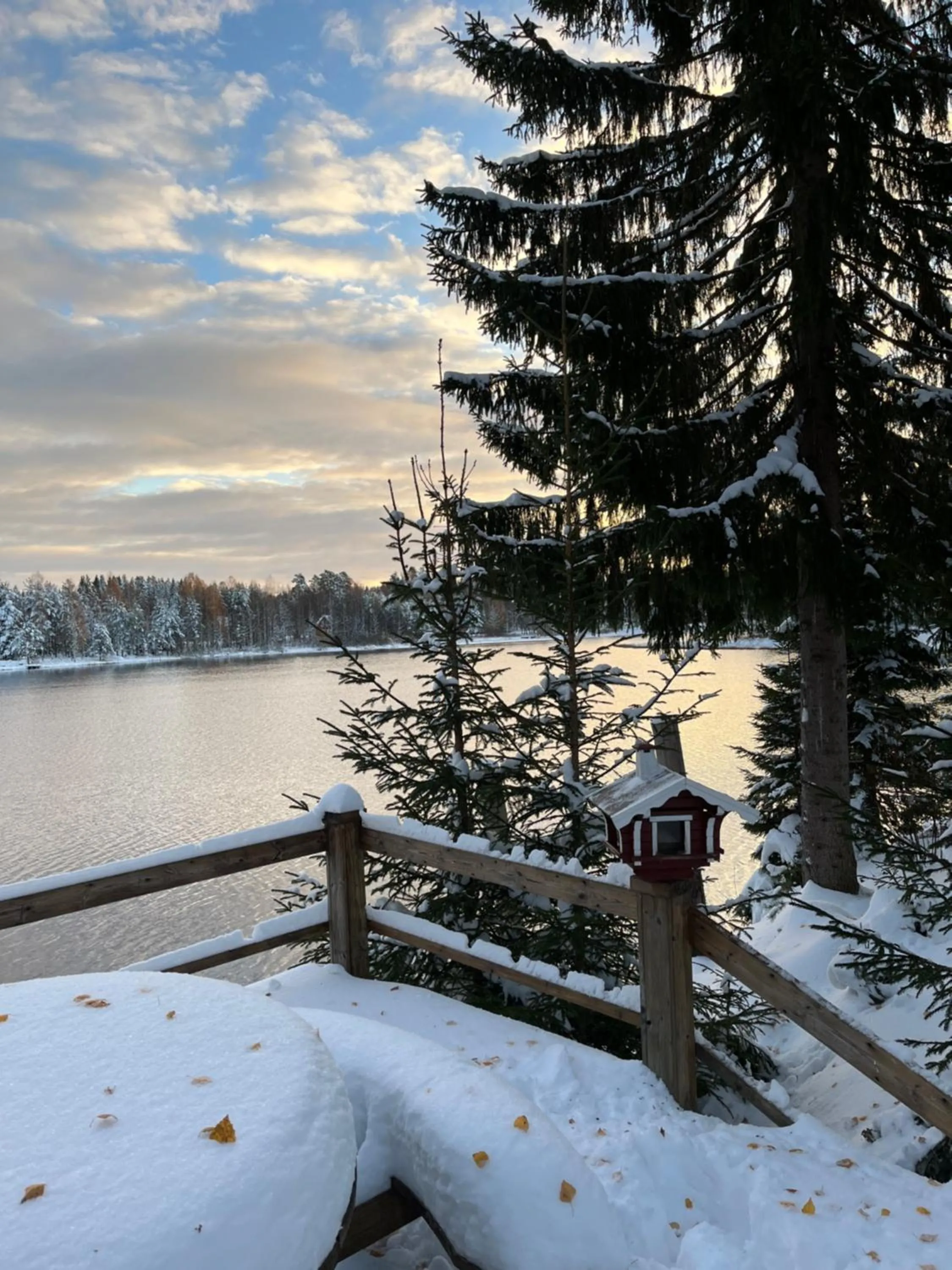 Winter in Nya Skogsgården Hostel