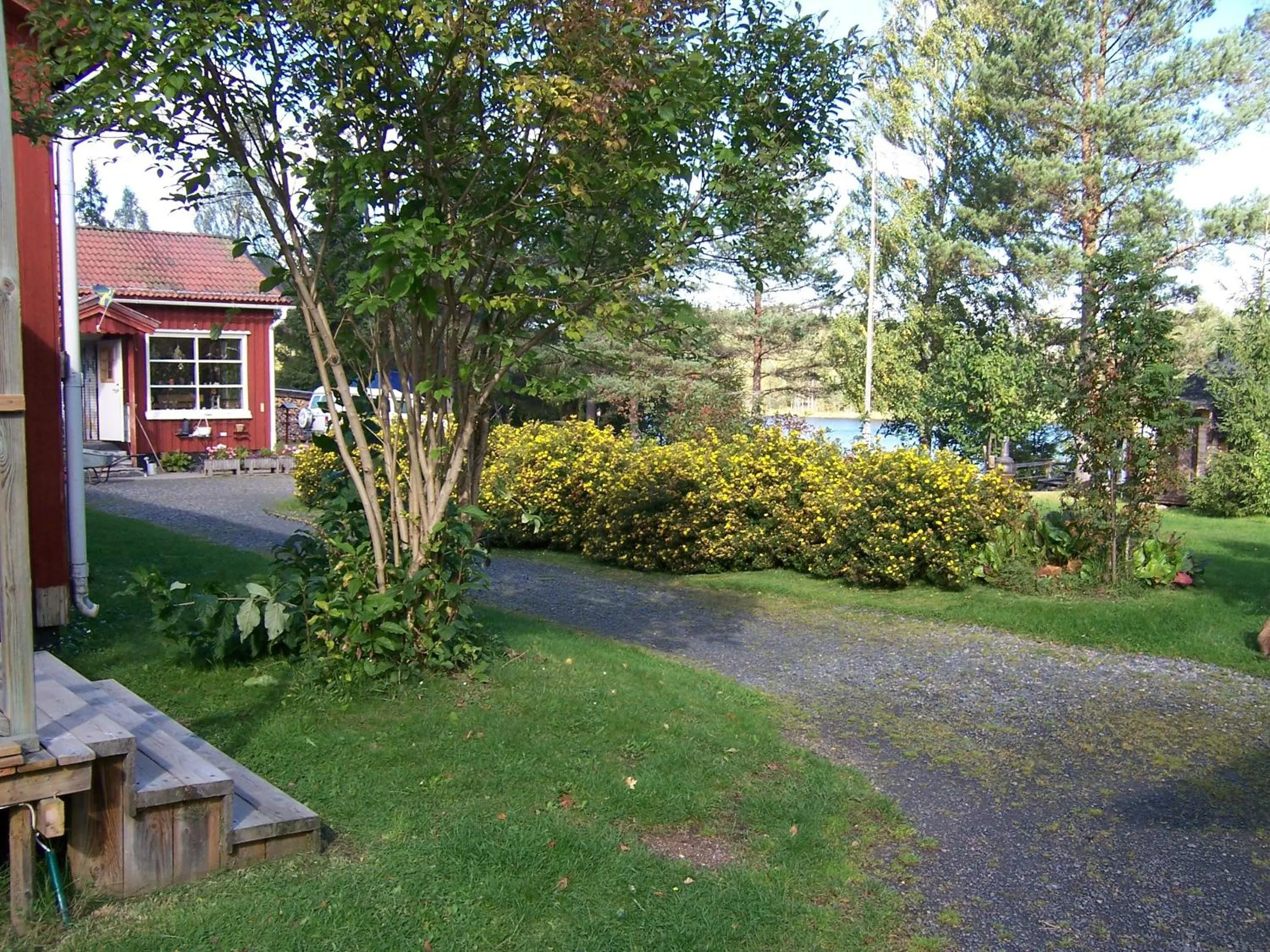 Garden in Nya Skogsgården Hostel