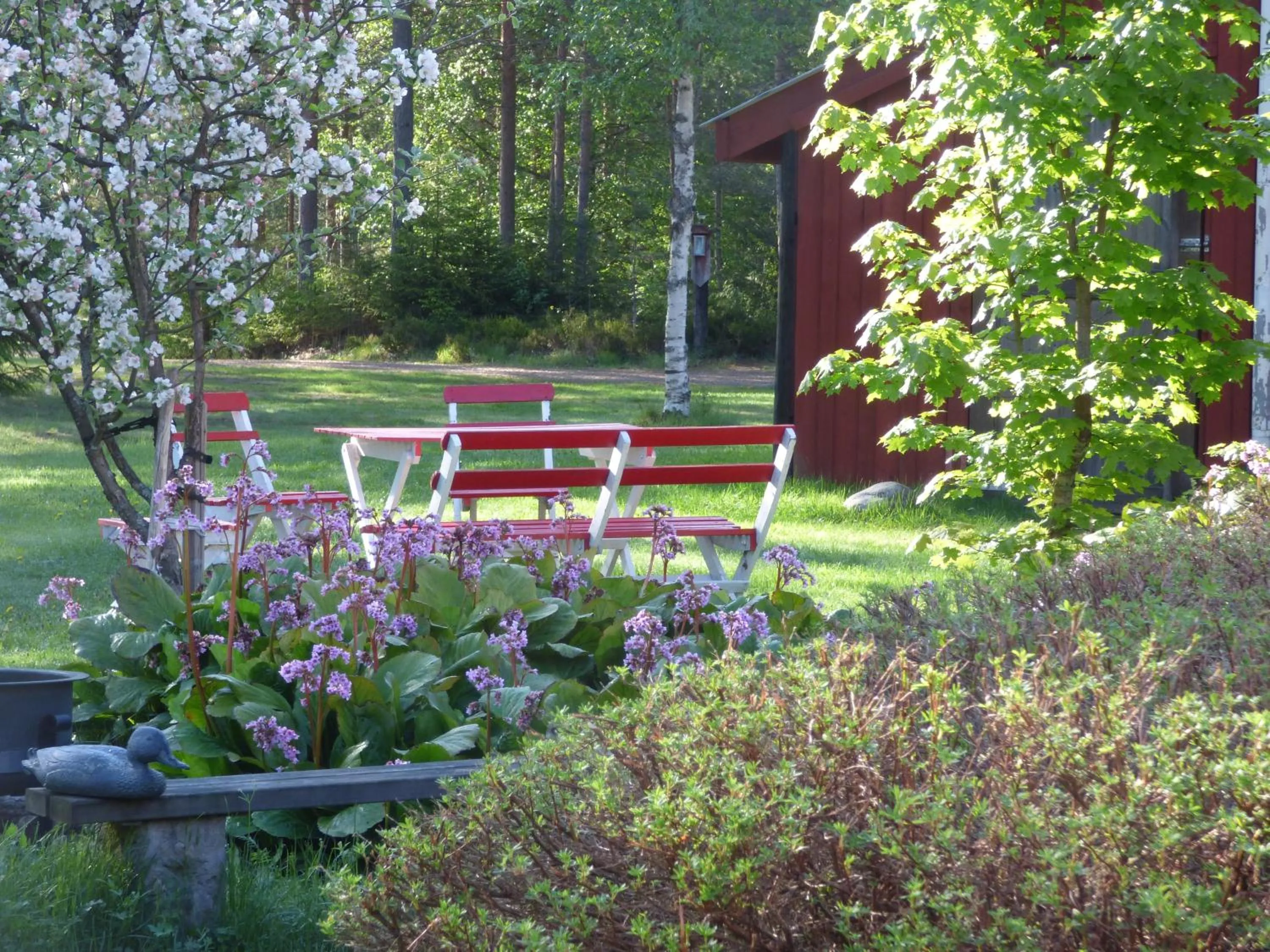Garden view in Nya Skogsgården Hostel