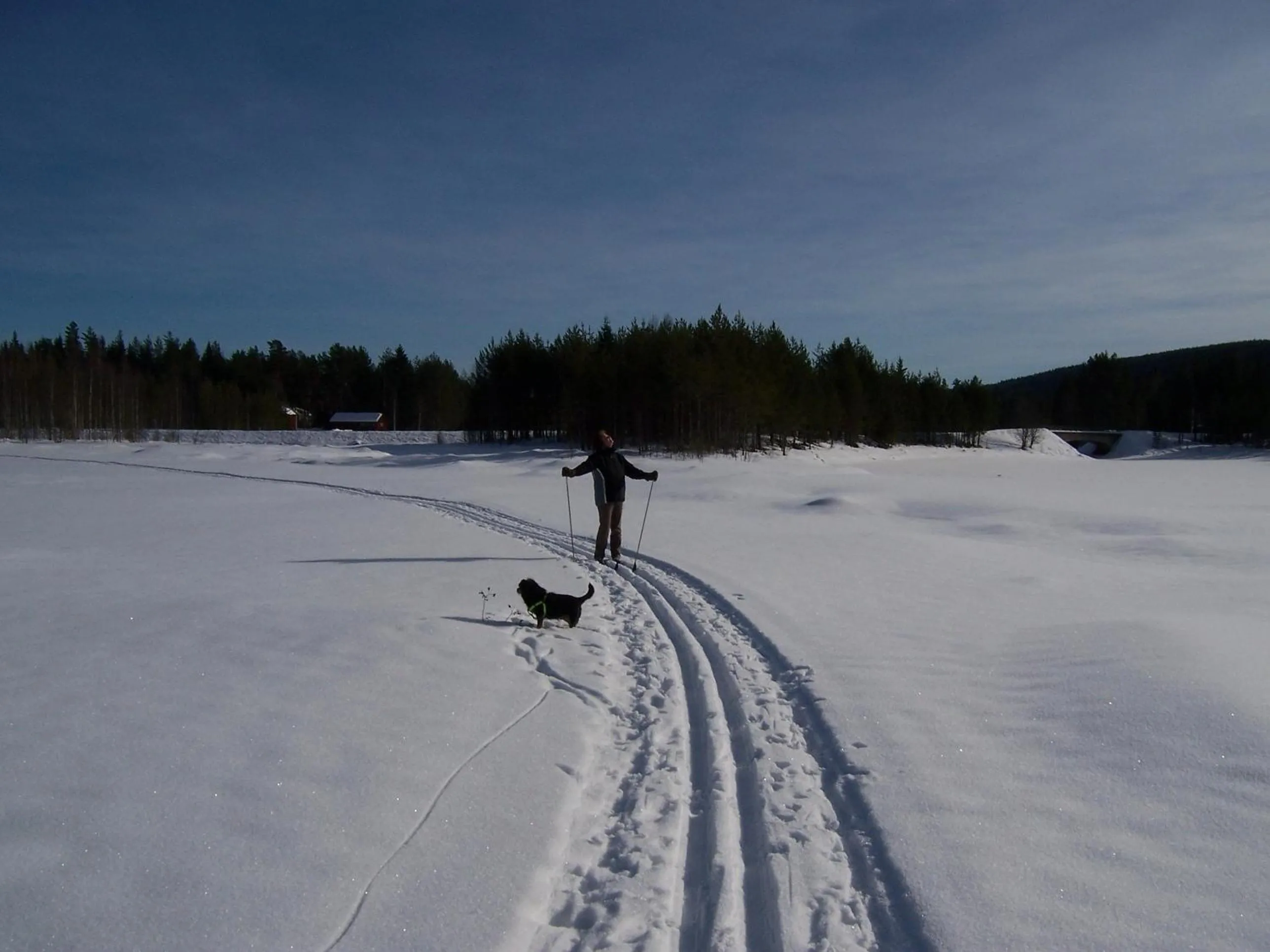 Skiing in Nya Skogsgården Hostel