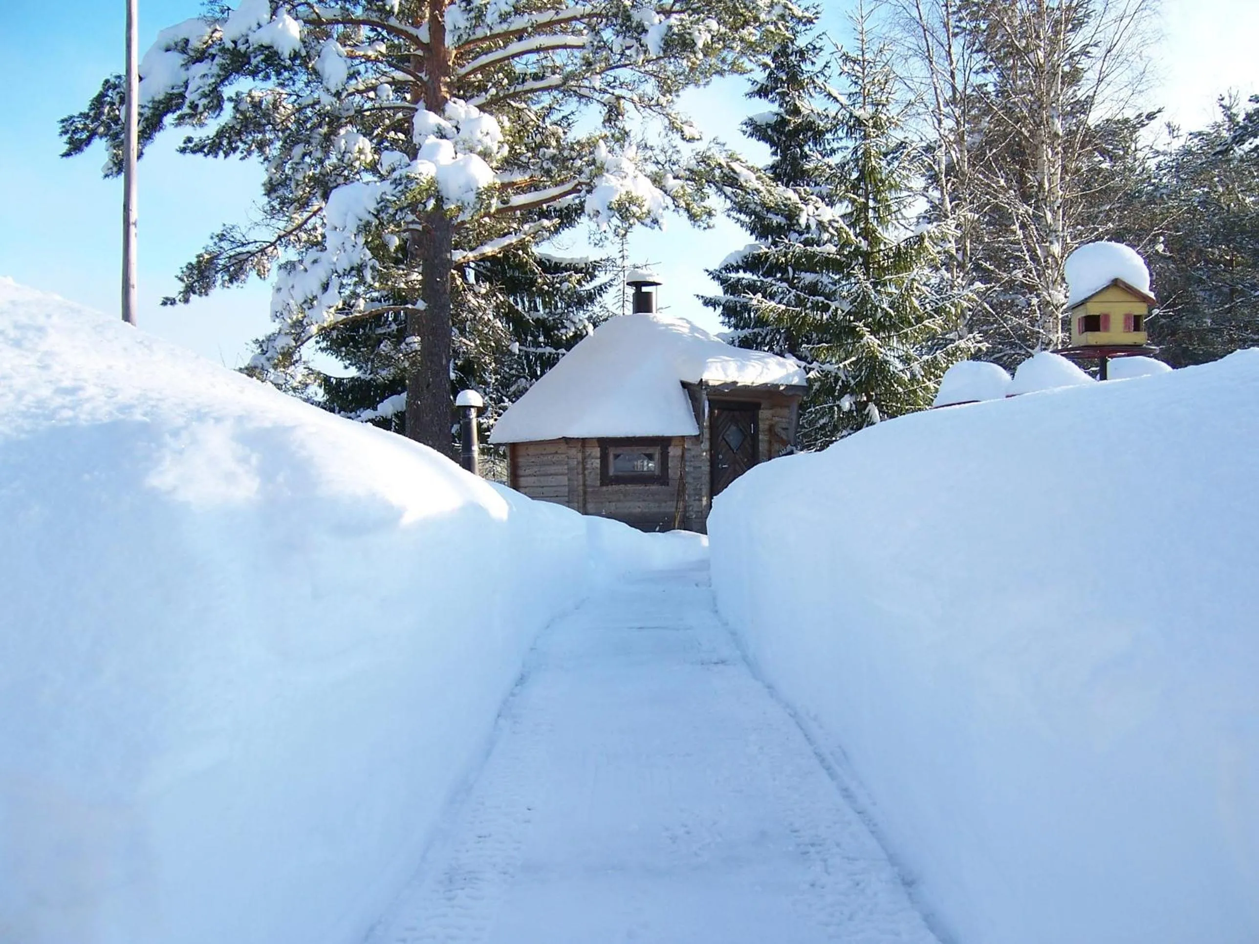 BBQ facilities in Nya Skogsgården Hostel