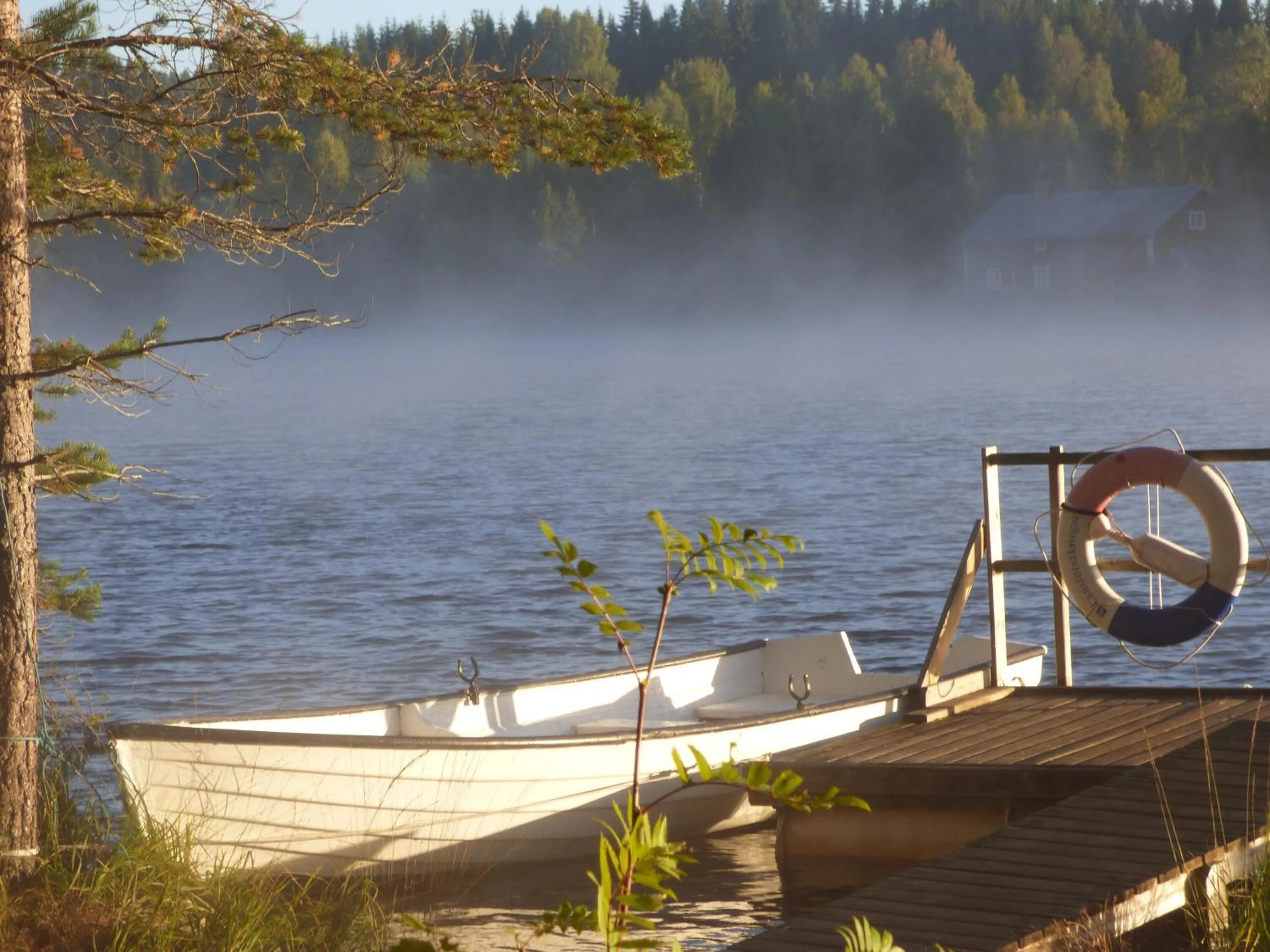 Fishing in Nya Skogsgården Hostel