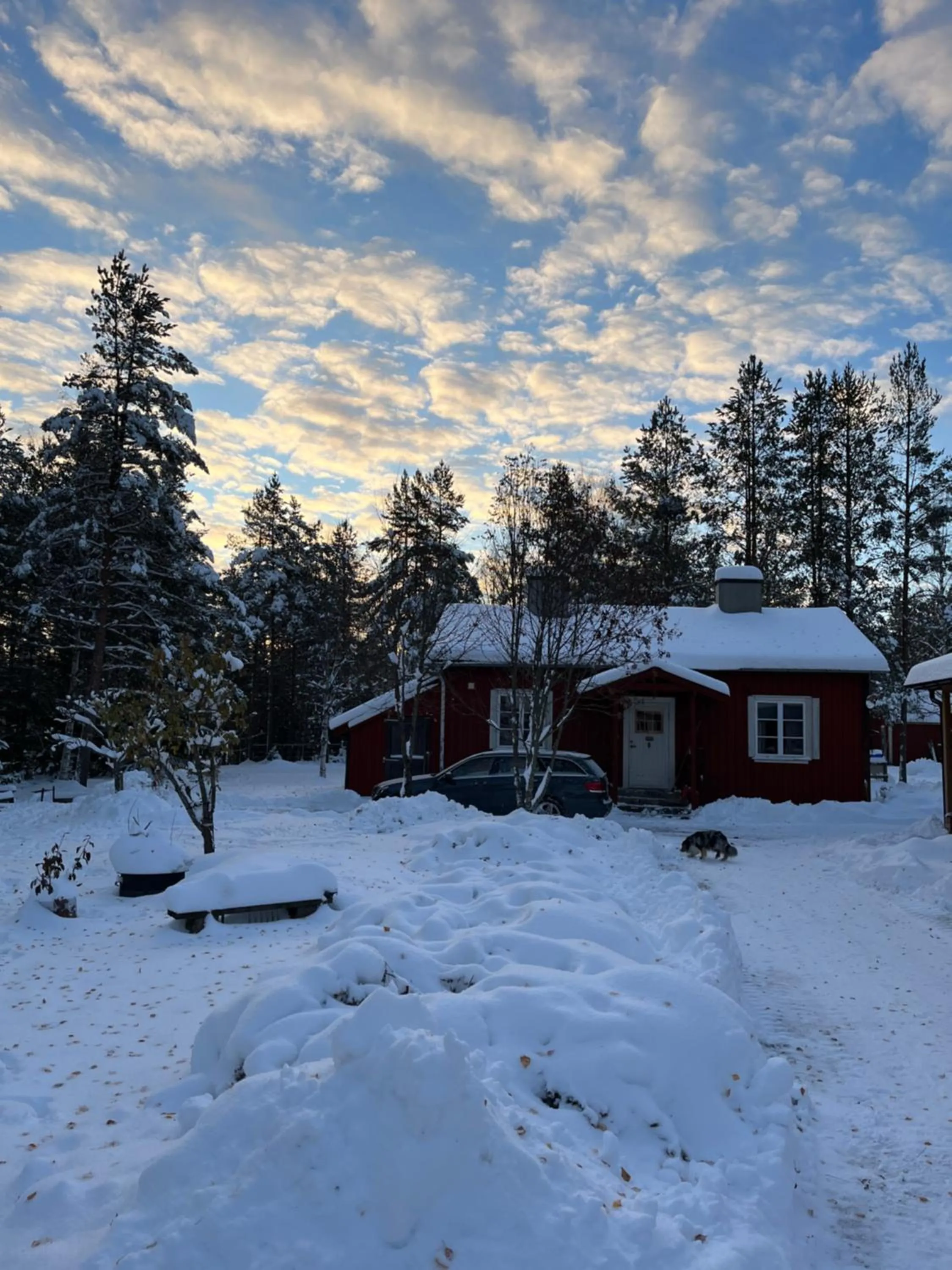 Property building in Nya Skogsgården Hostel