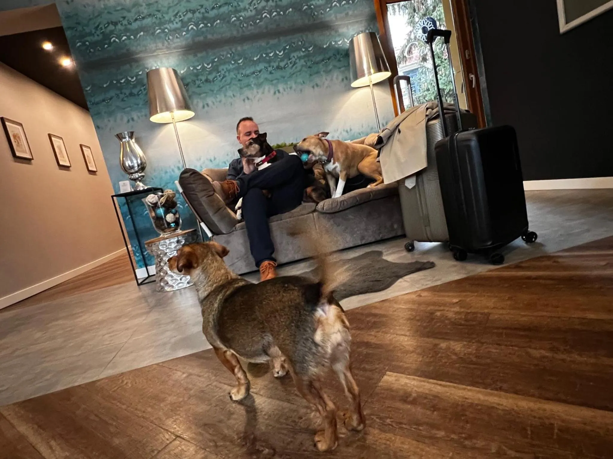 Animals in Margaréta Garden & SPA