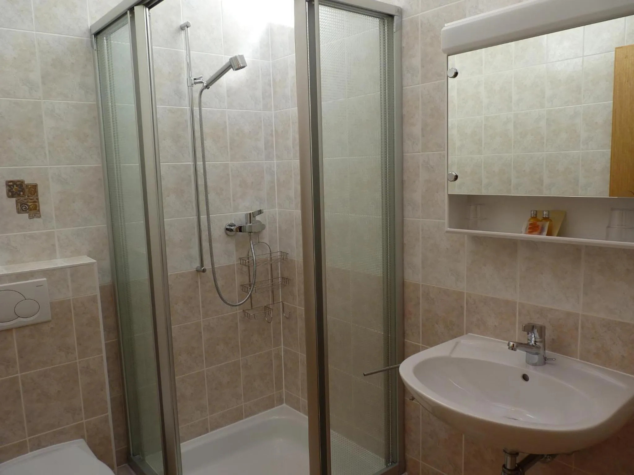 Bathroom in Chalet des Alpes