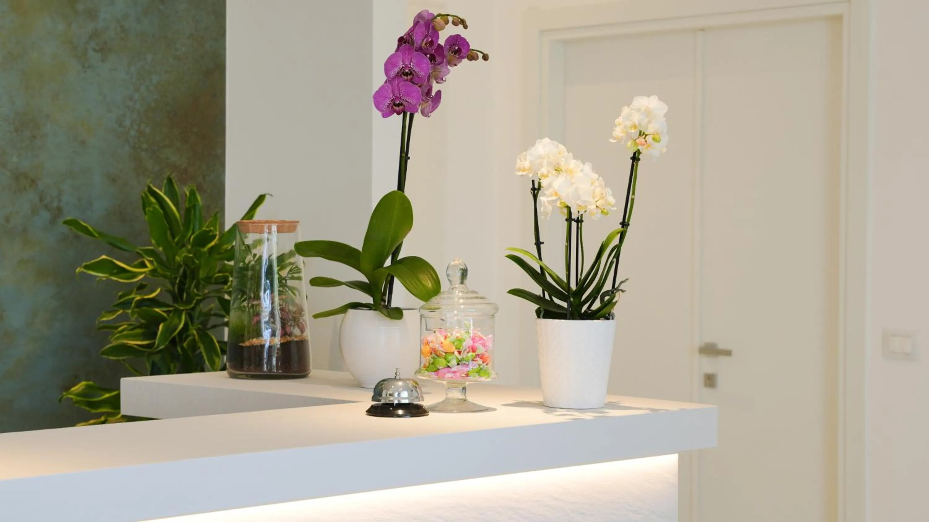 Lobby or reception in Albergo San Giorgio