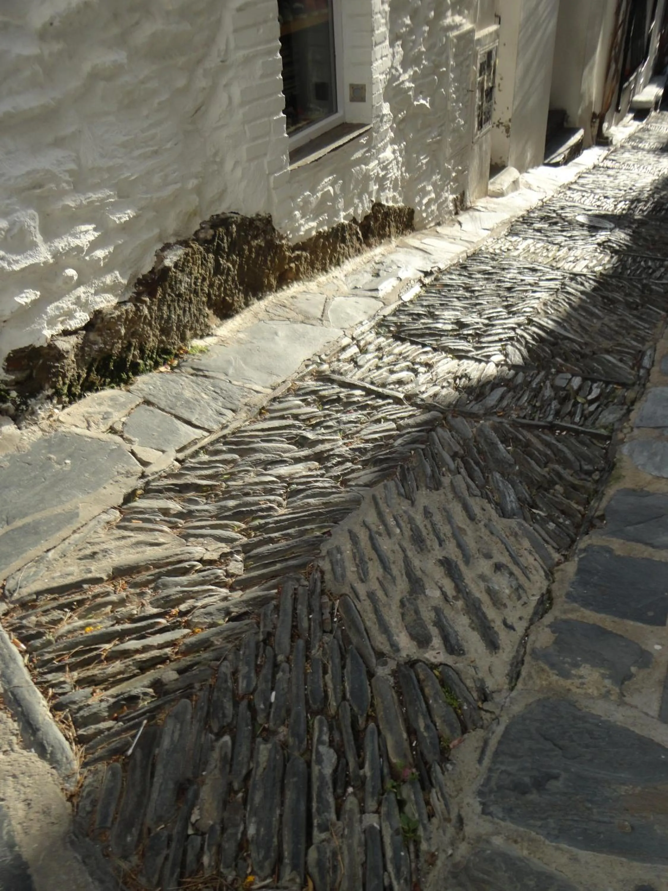 Area and facilities in Vehí