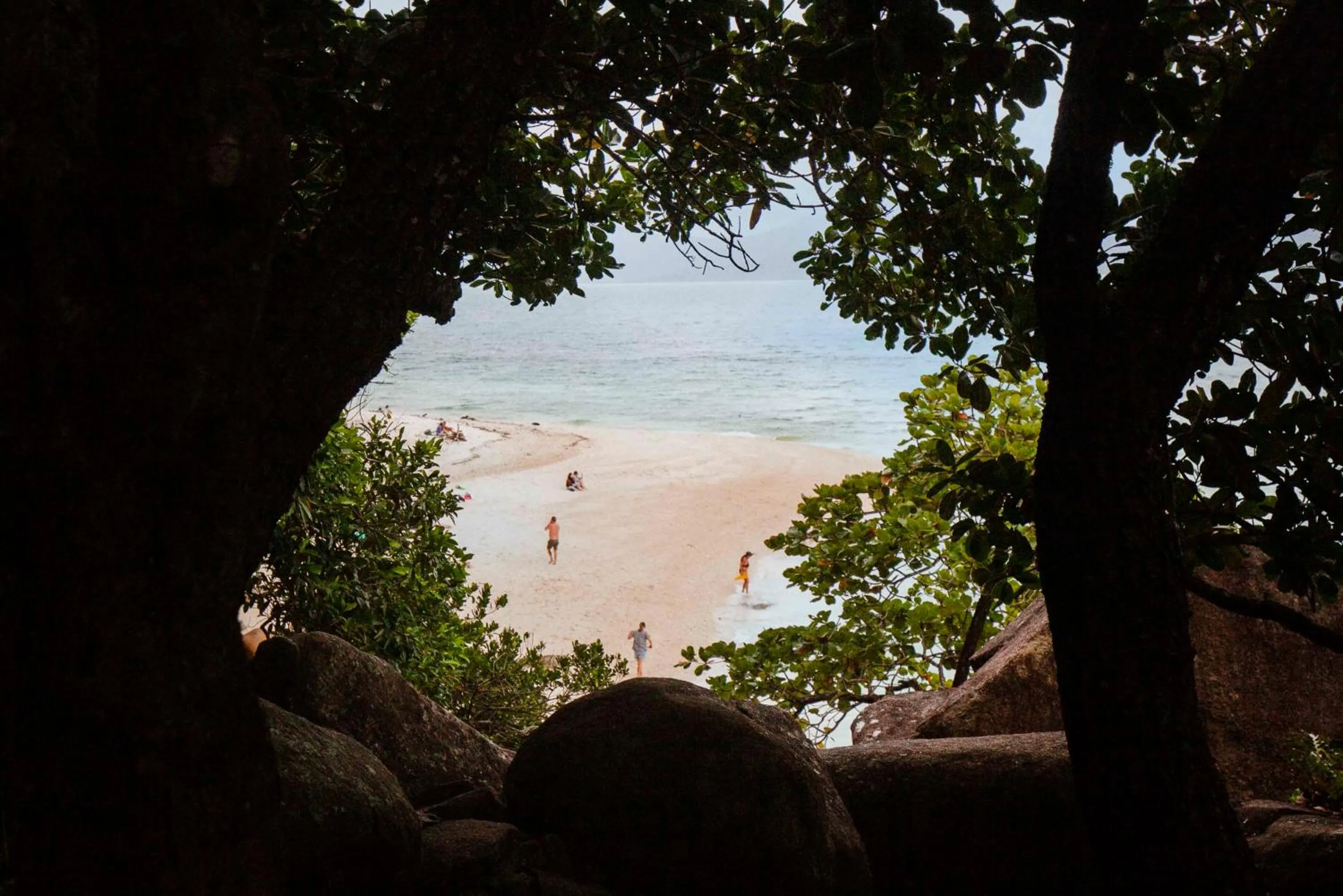 Nearby landmark in Little Drifter Cairns