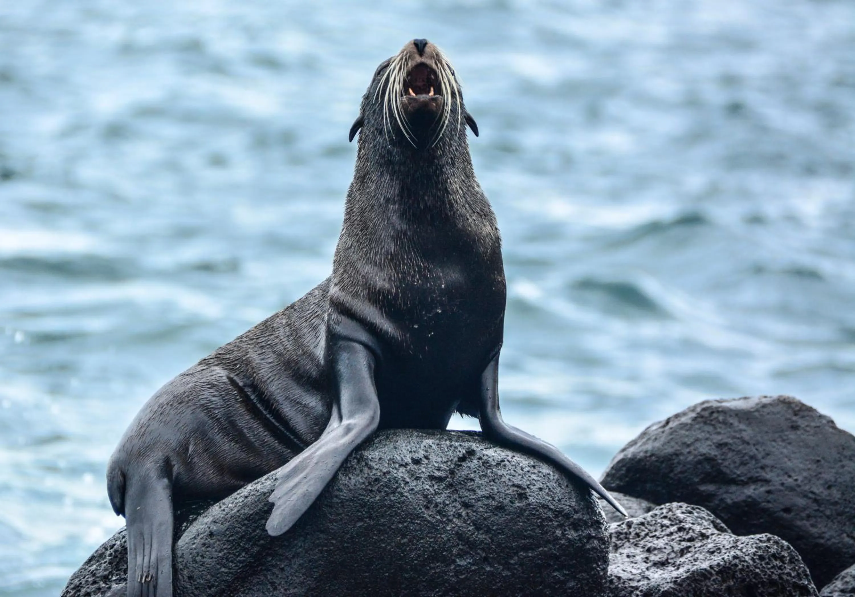 Off site in Hotel La Jungla