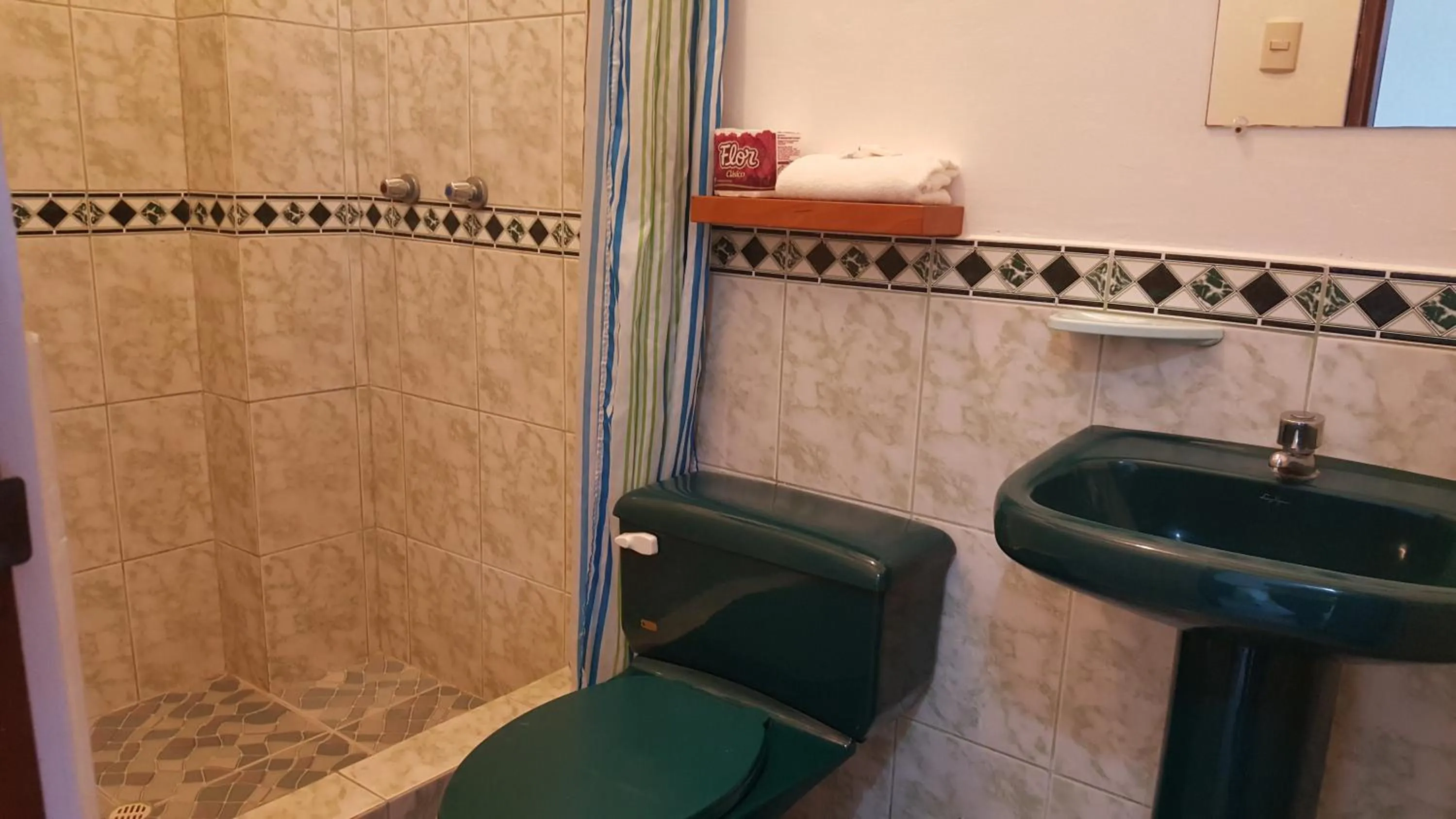 Toilet in Hotel La Jungla