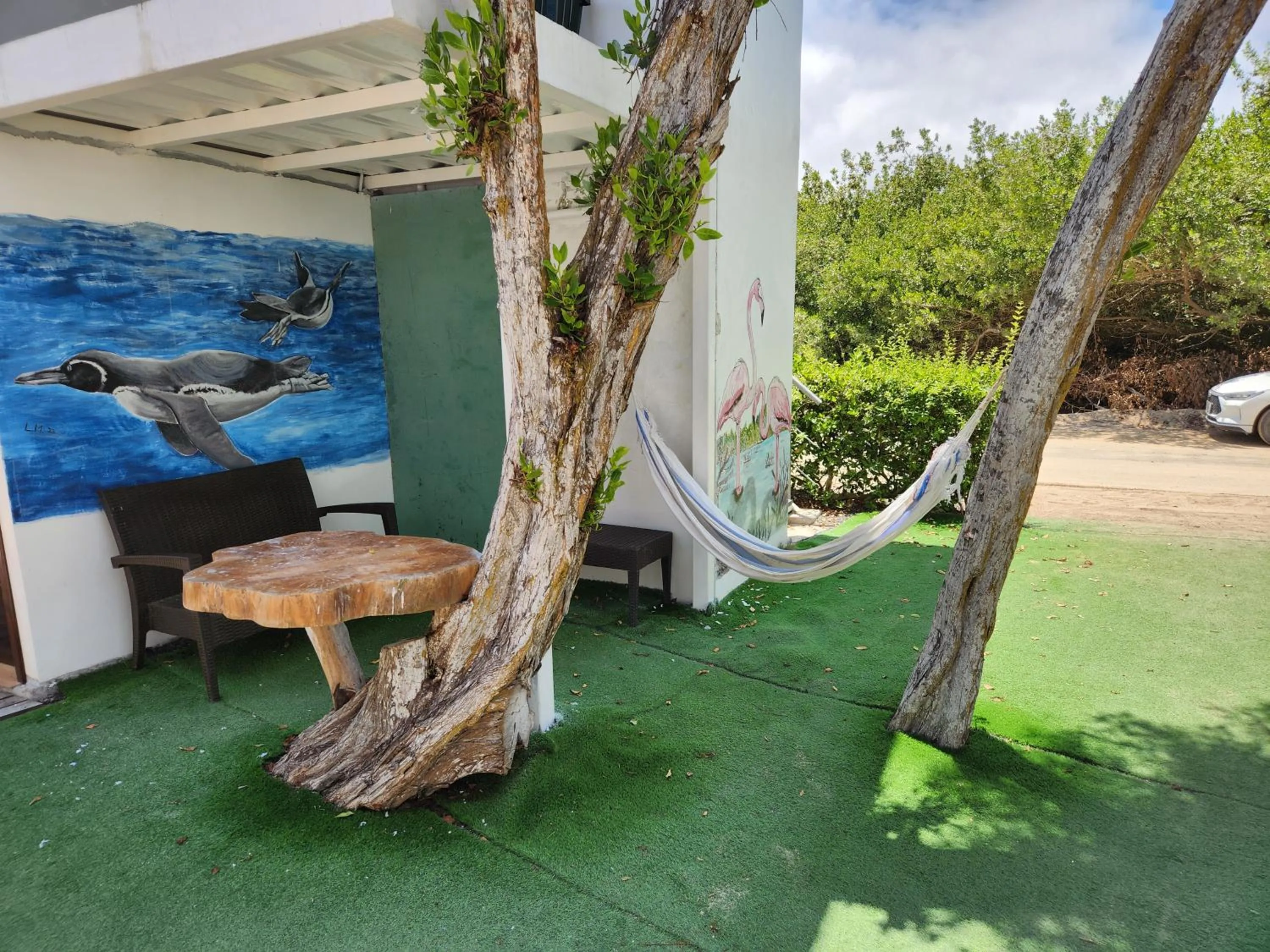 View (from property/room) in Hotel La Jungla