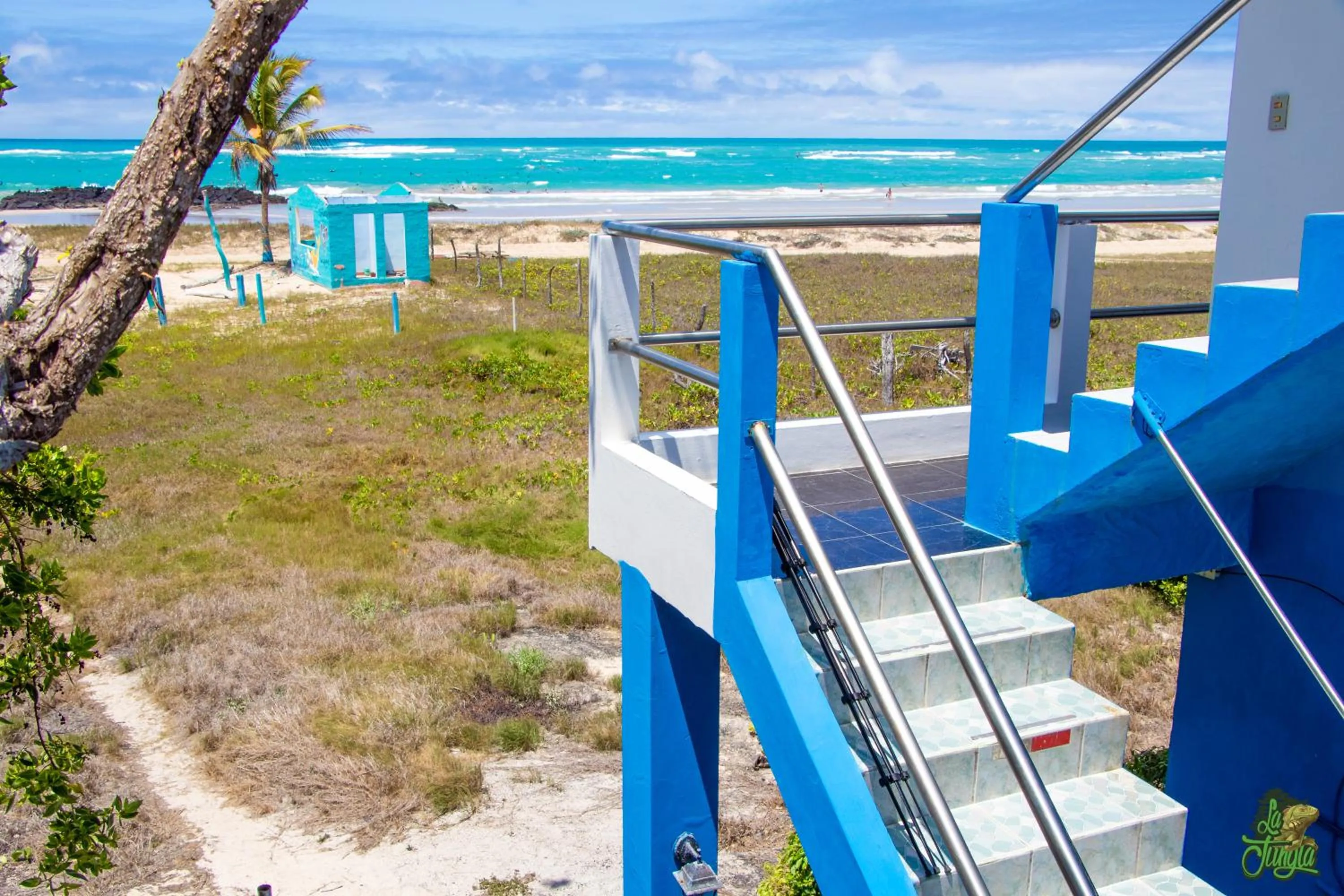 View (from property/room) in Hotel La Jungla