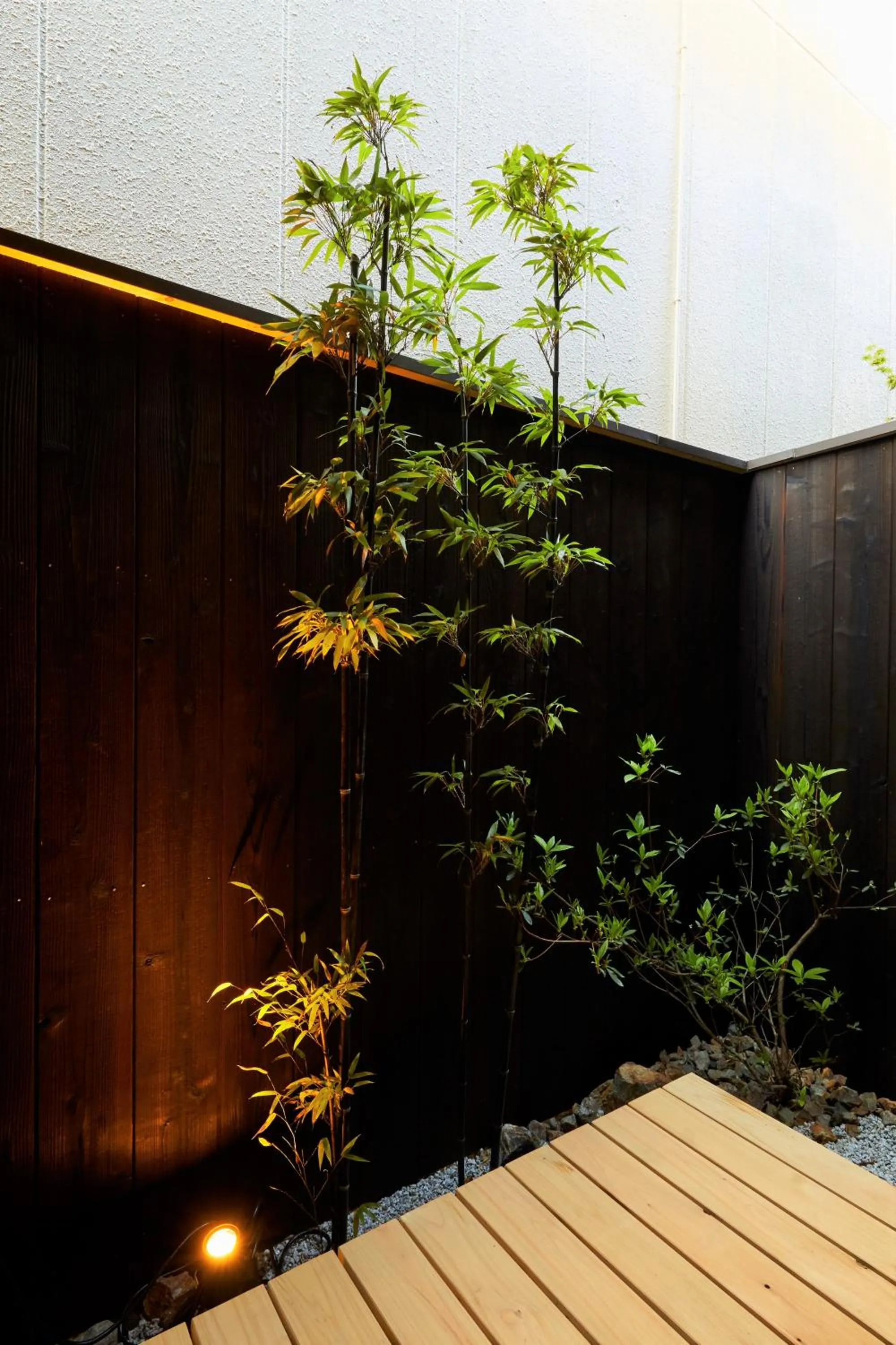 Other in Rinn Hanayacho Asagiri