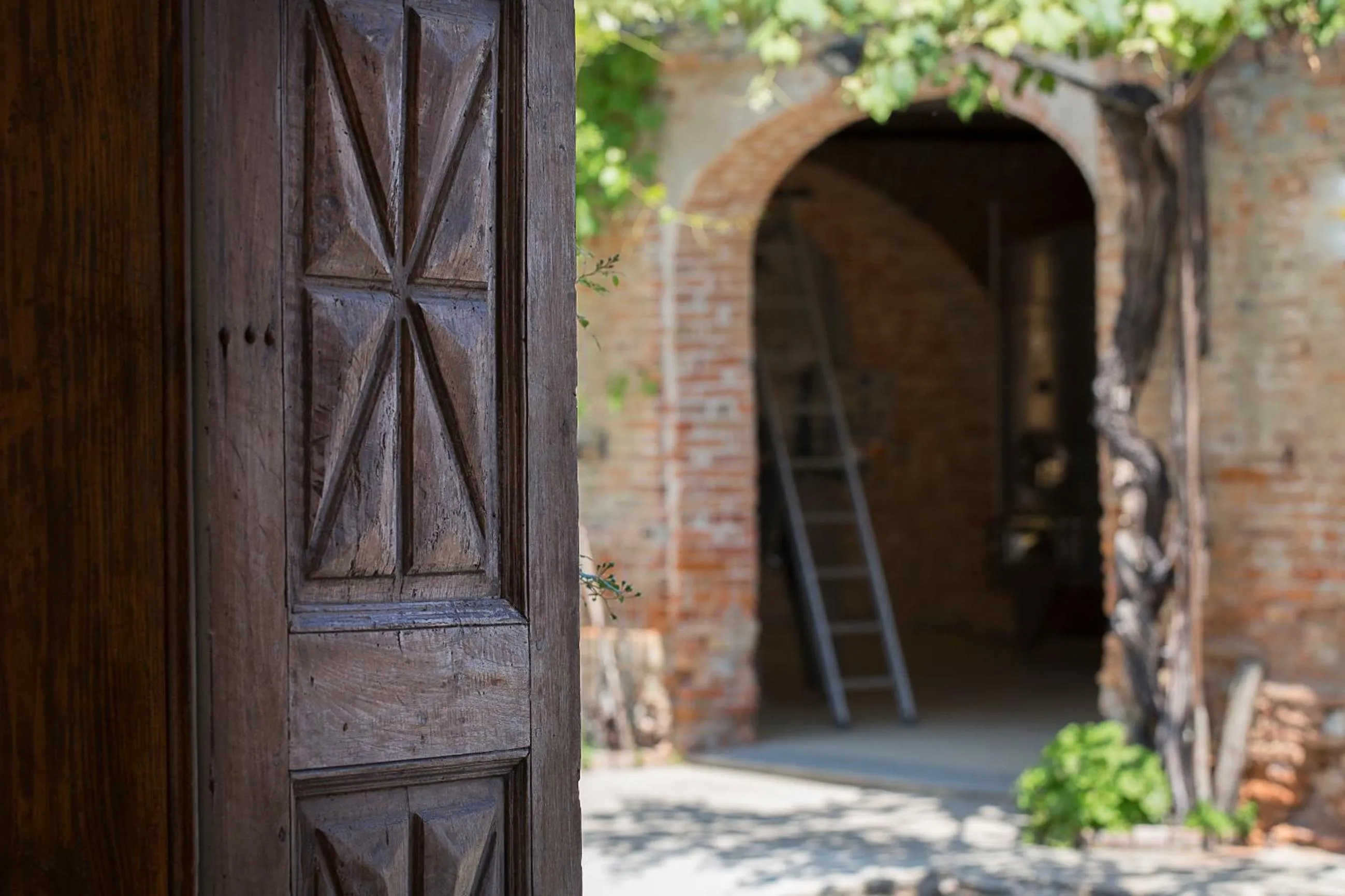 Facade/entrance in Marchesi Alfieri - Cantine e Ospitalità