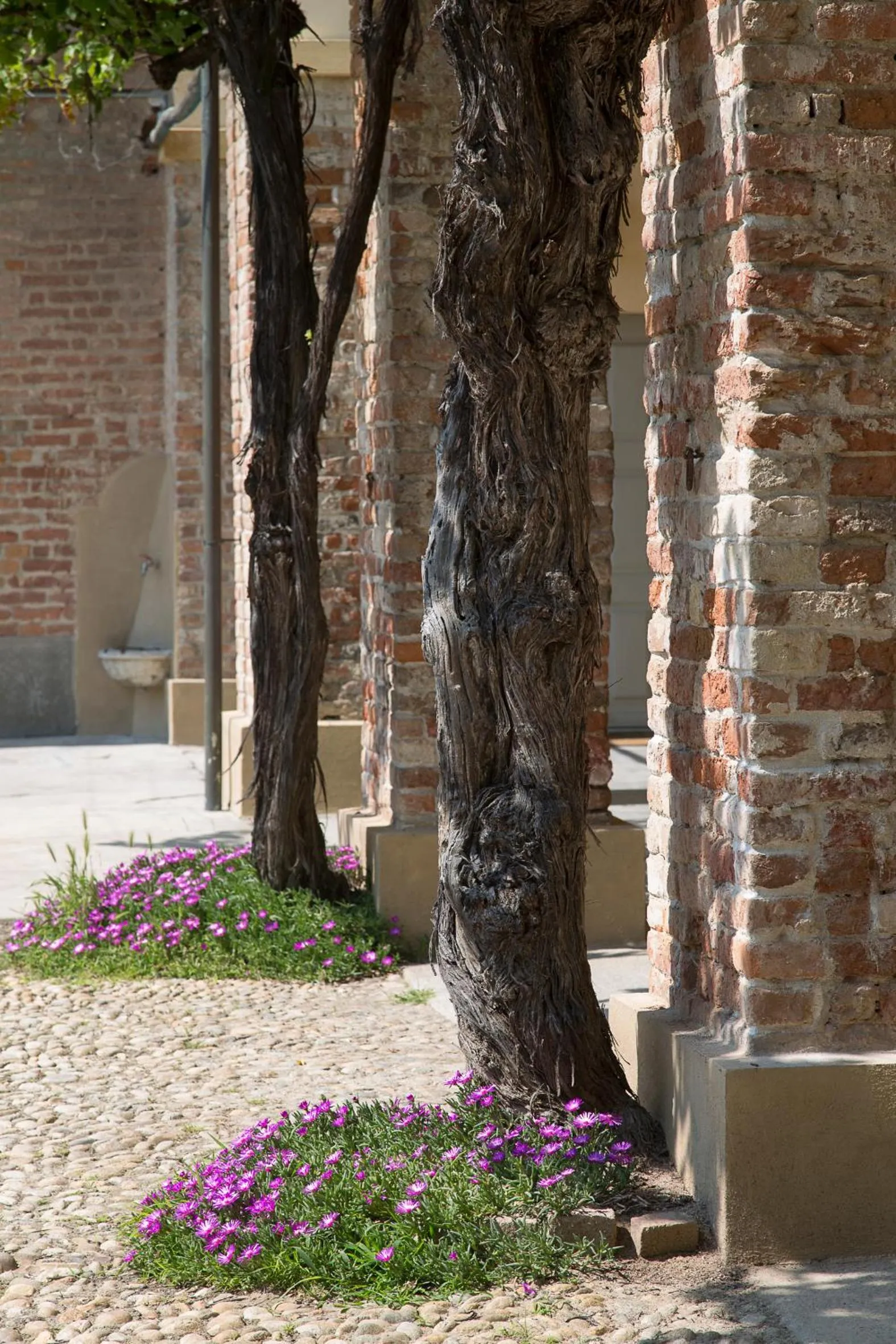Patio in Marchesi Alfieri - Cantine e Ospitalità