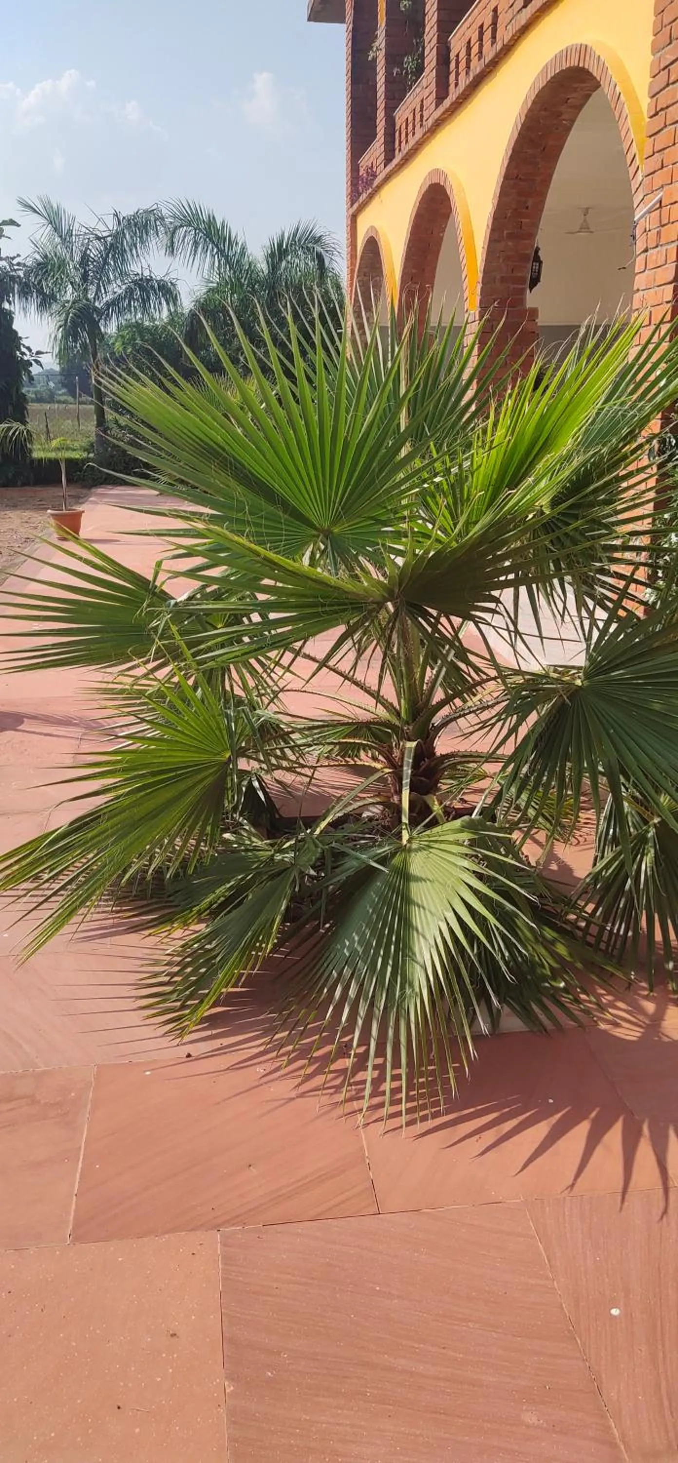 lalita homestay countryside