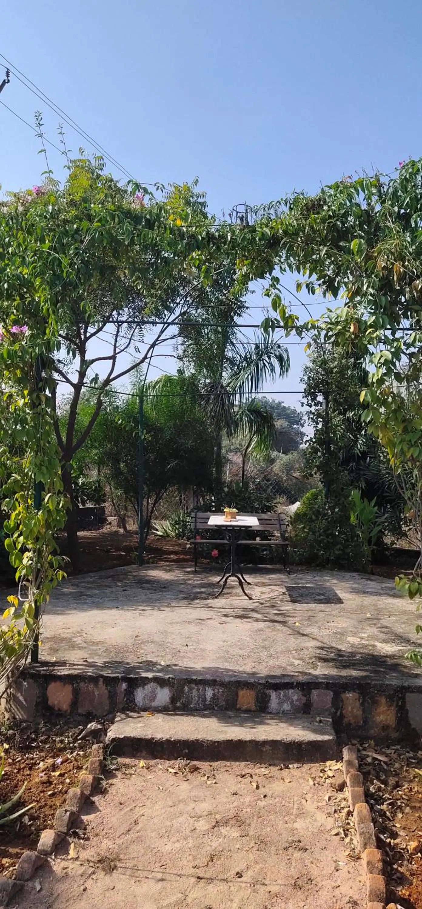 lalita homestay countryside