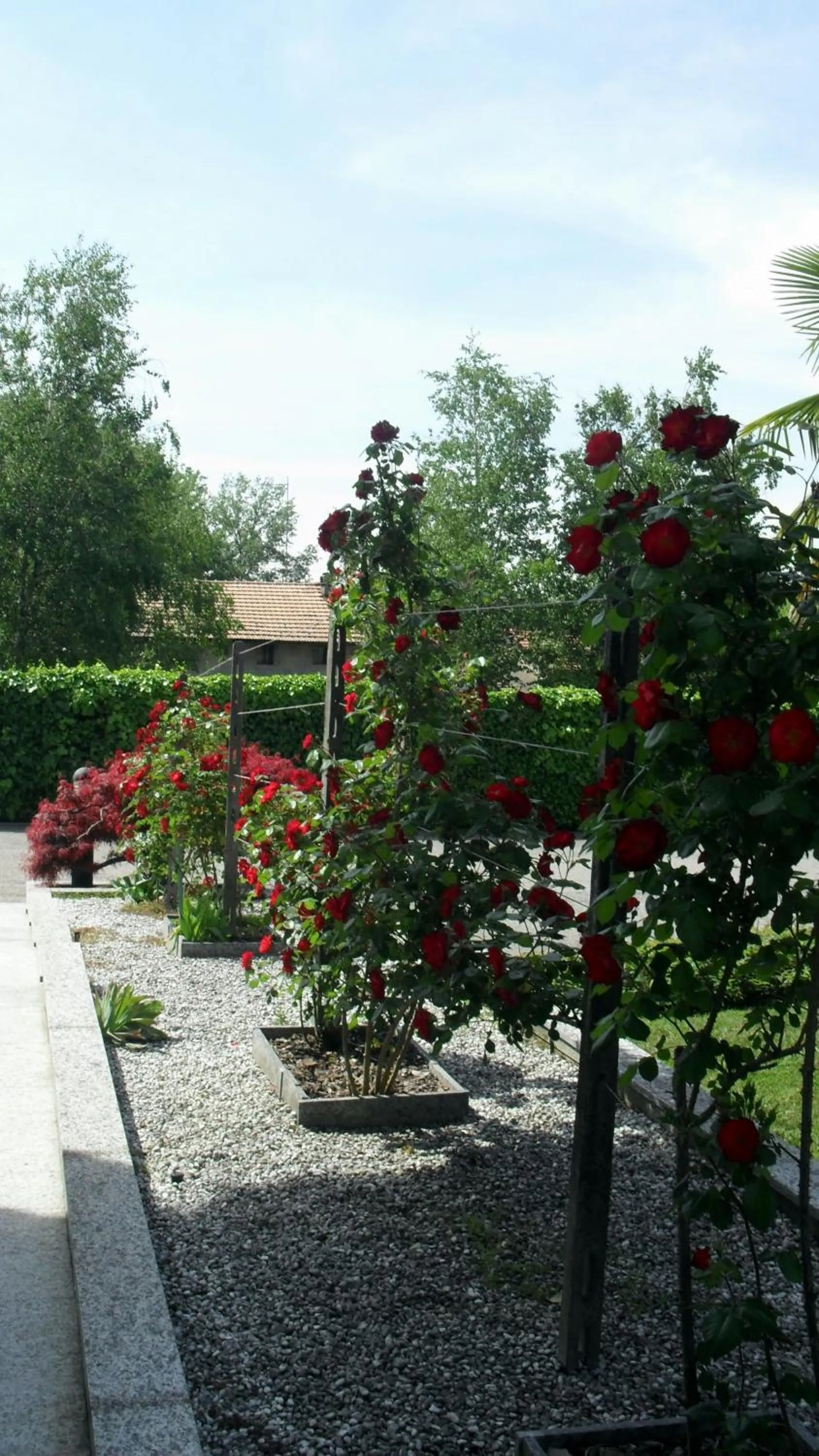 Other in Albergo Residence Isotta