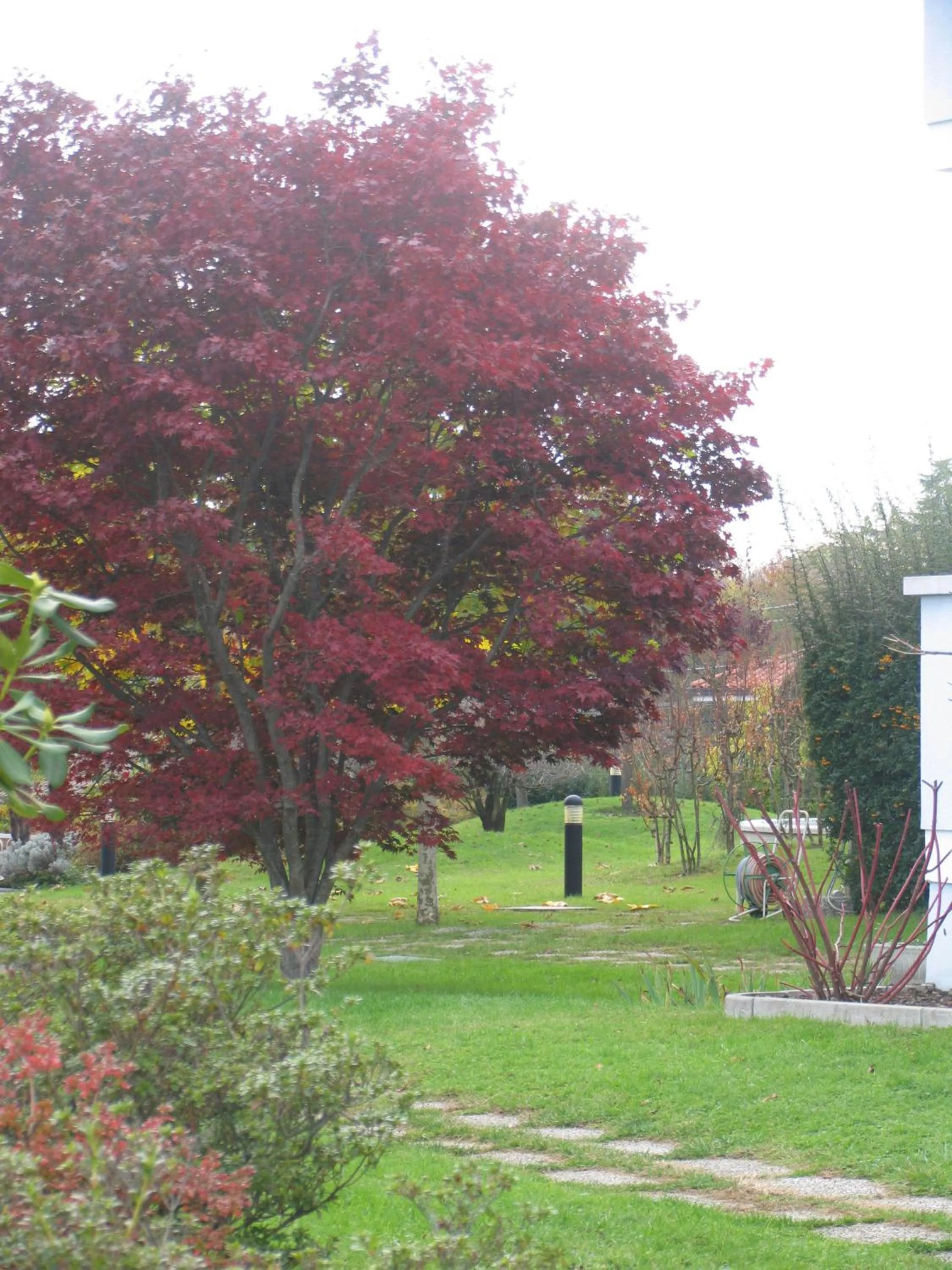 Garden in Albergo Residence Isotta