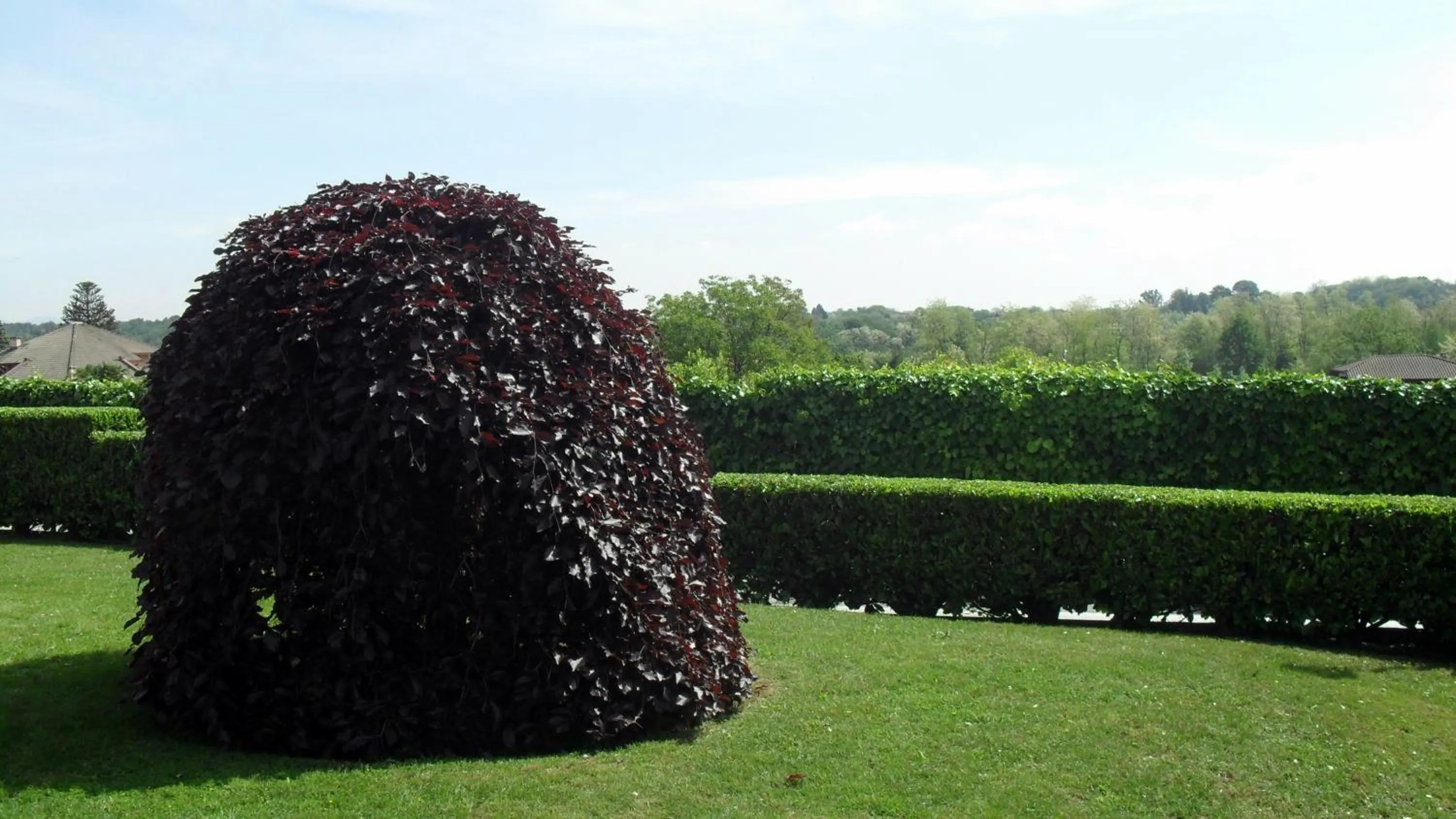 Garden in Albergo Residence Isotta