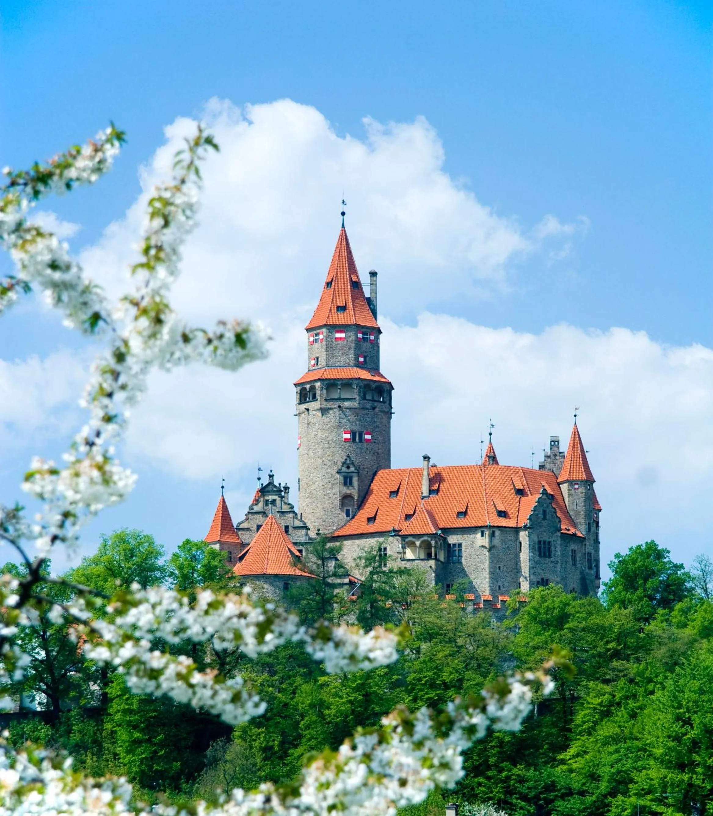 Off site in CENTRAL PARK FLORA